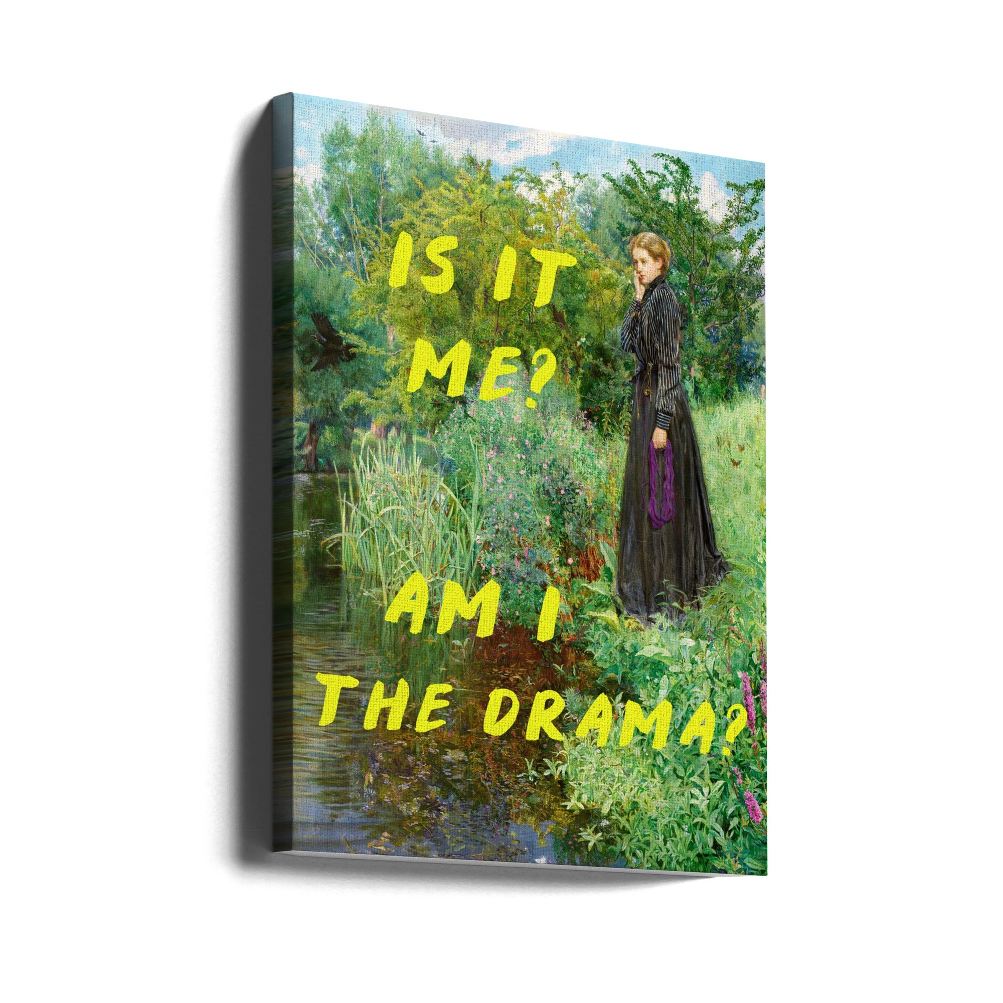 Is It Me? Am I The Drama?