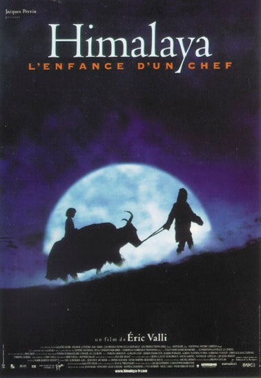 Here should be a File.