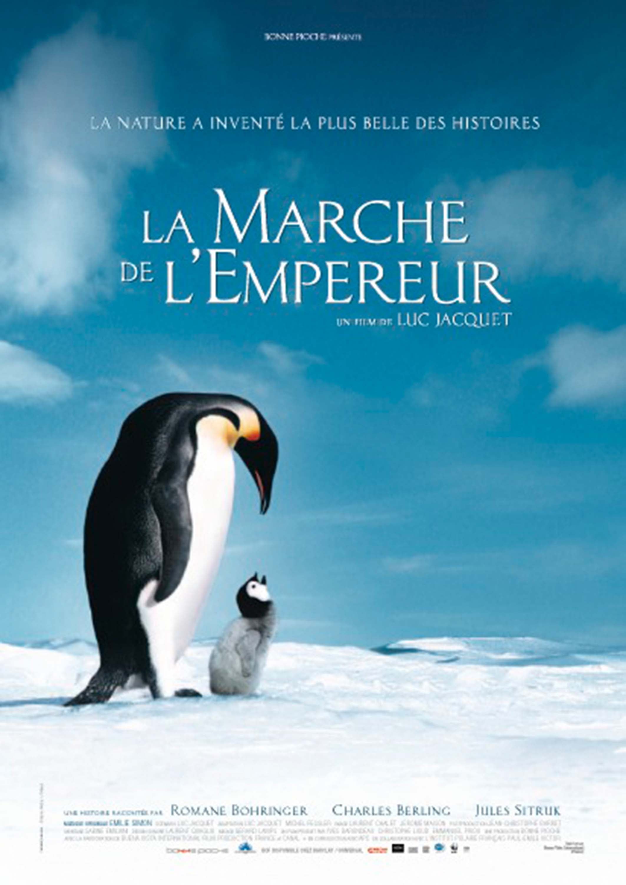 Here should be a File.