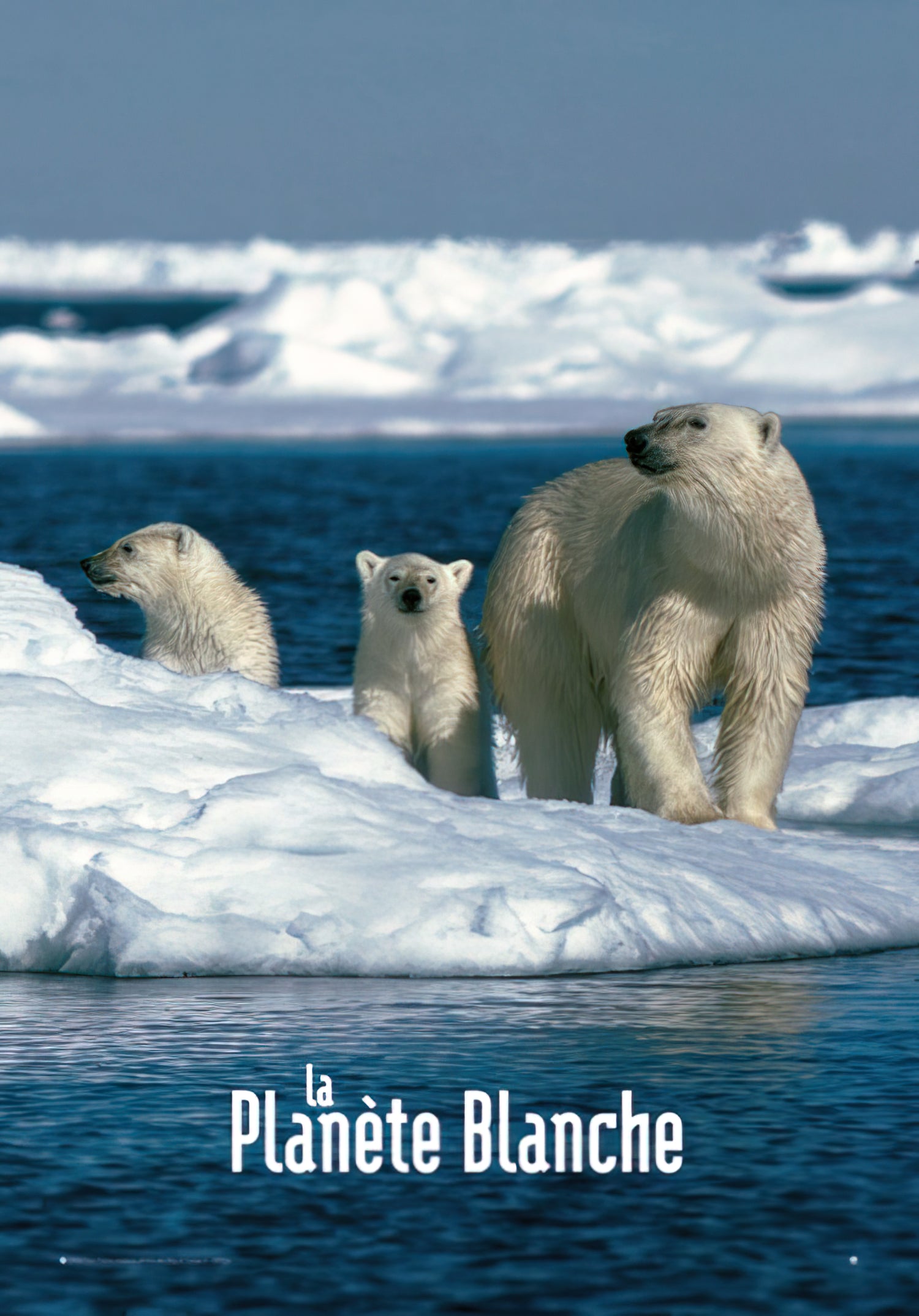 Here should be a File.