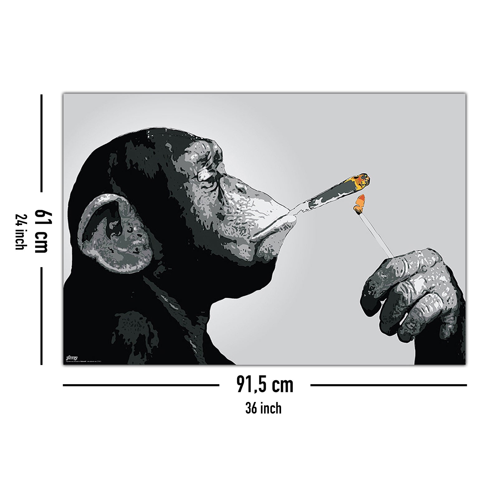 Here should be a File.