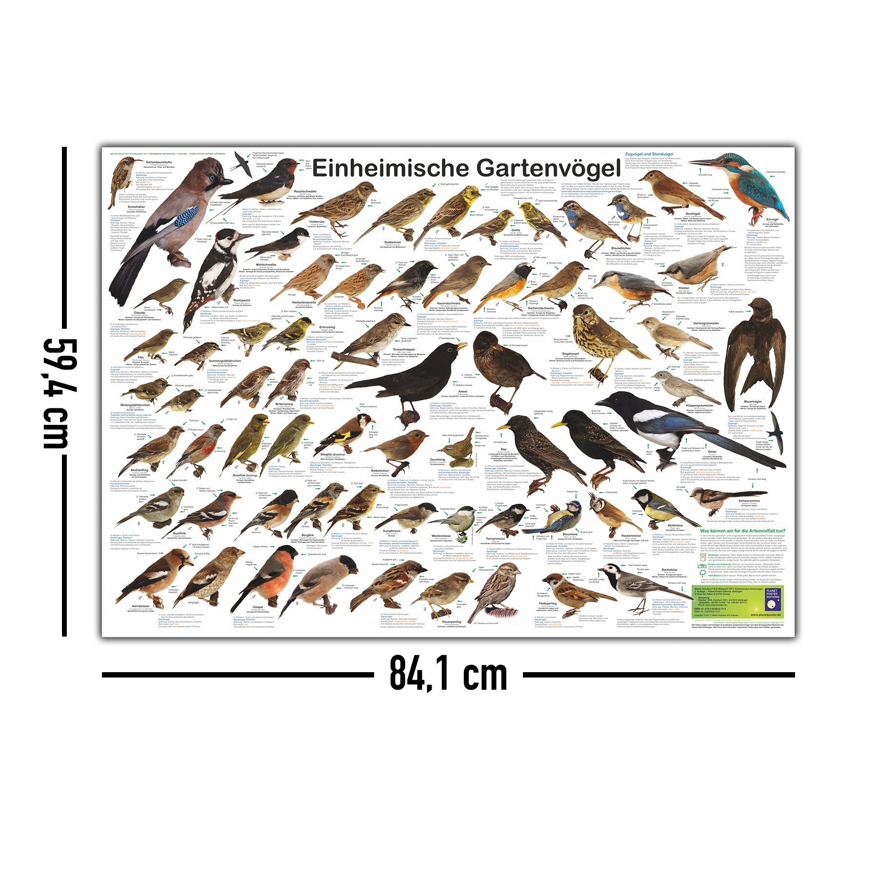 Here should be a File.