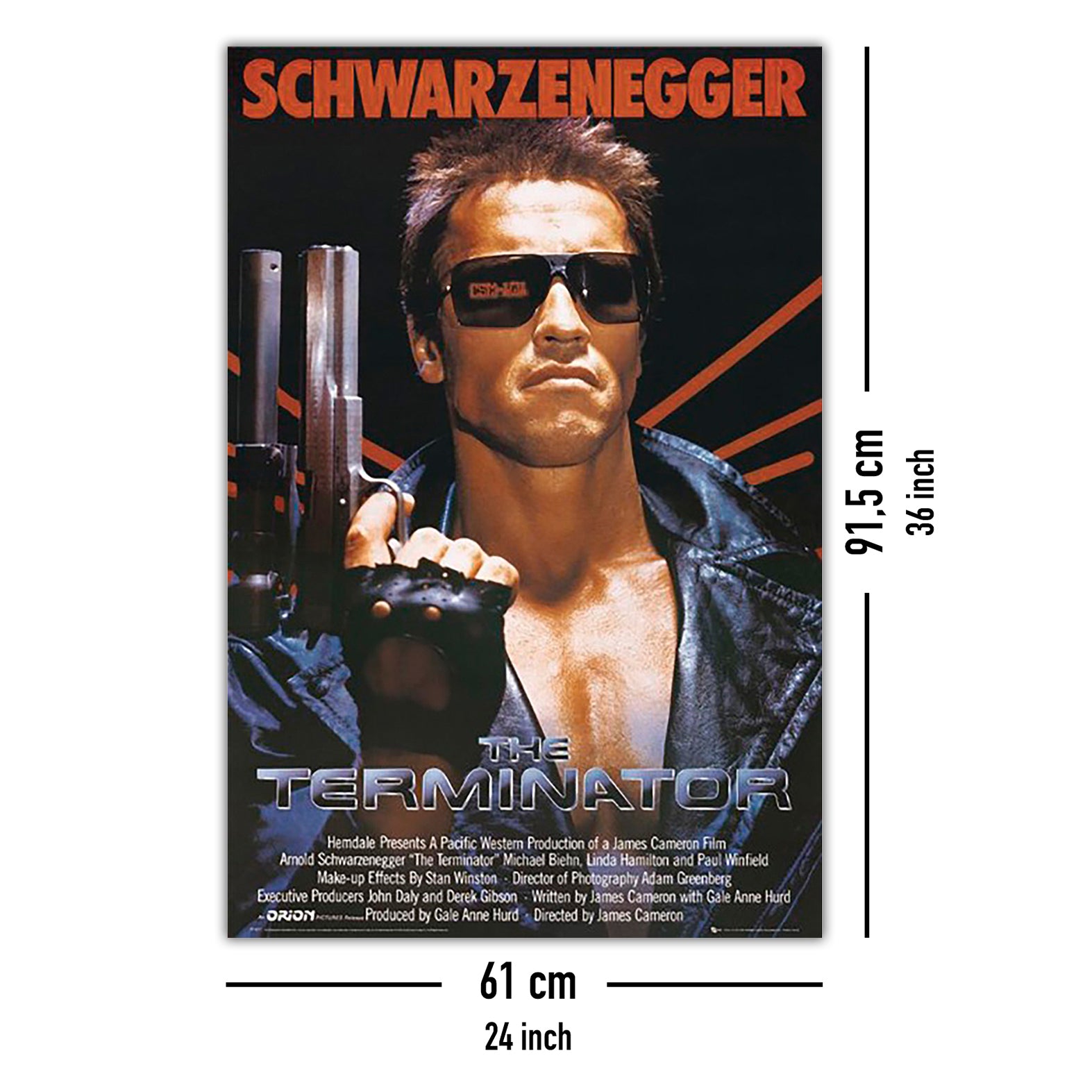 Here should be a File.