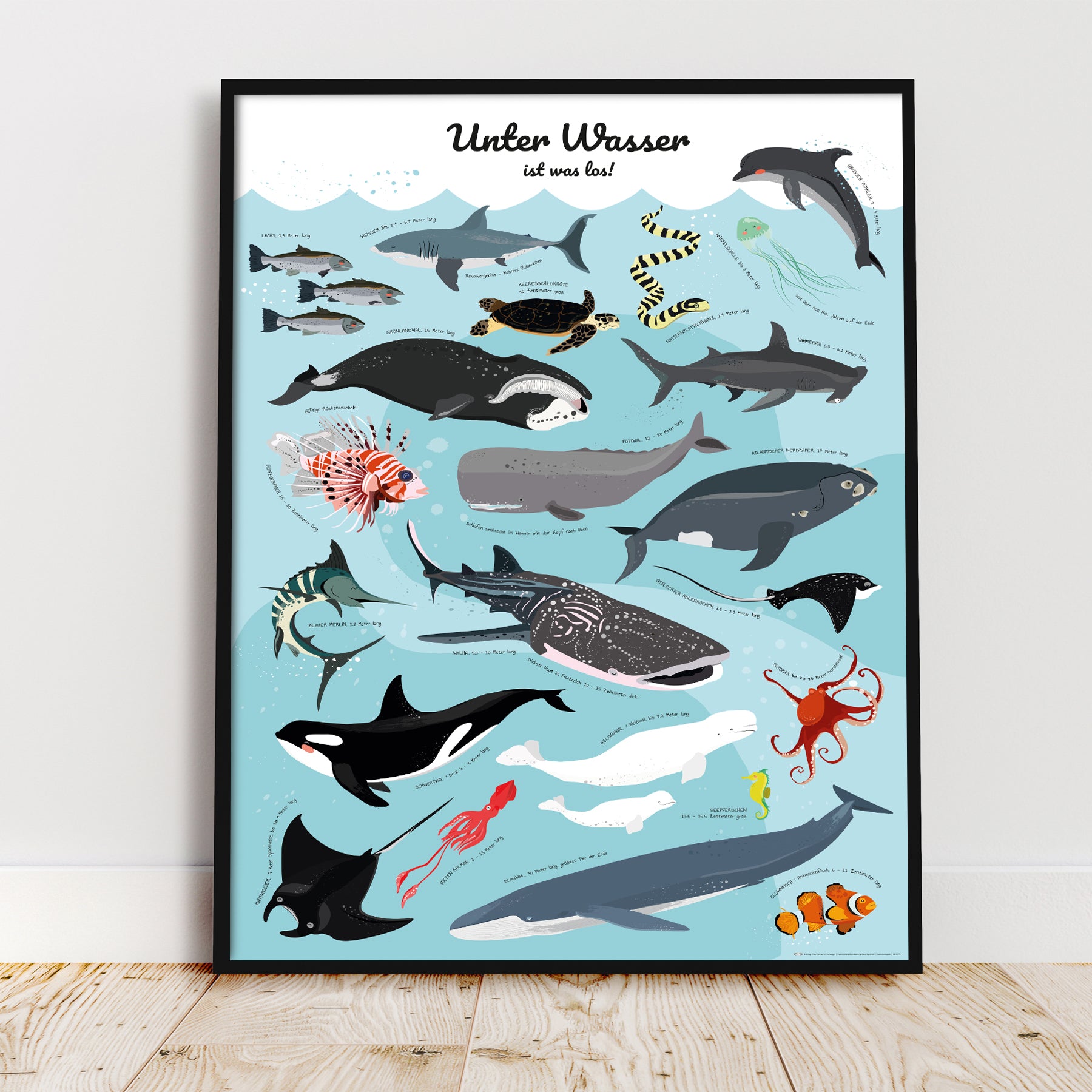 Here should be a File.