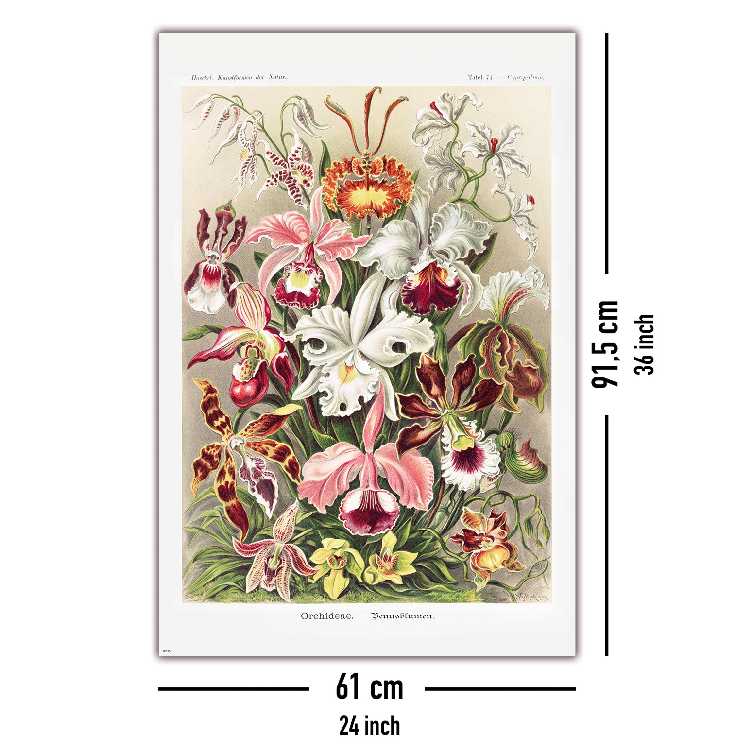 Here should be a File.