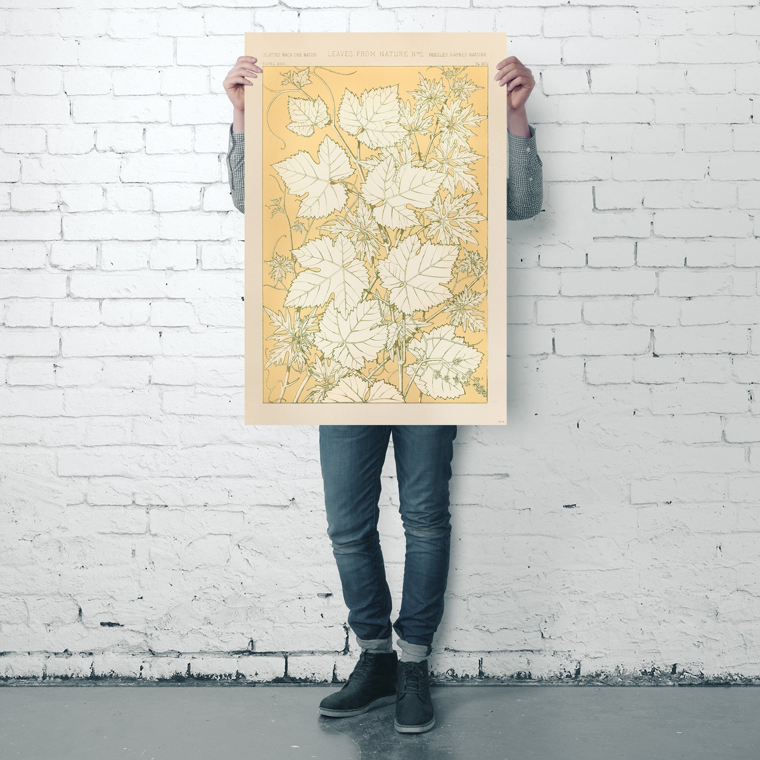 Here should be a File.