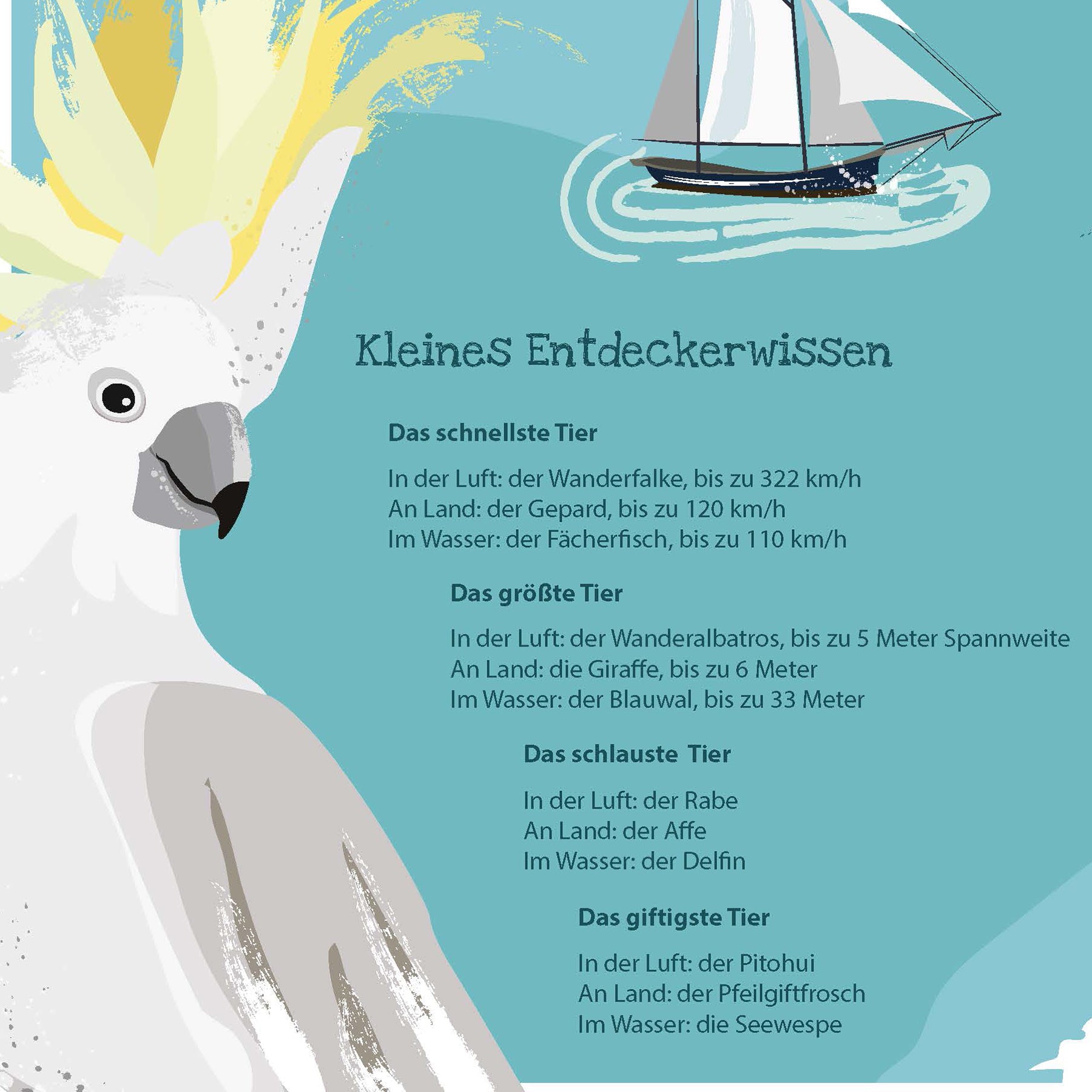 Here should be a File.