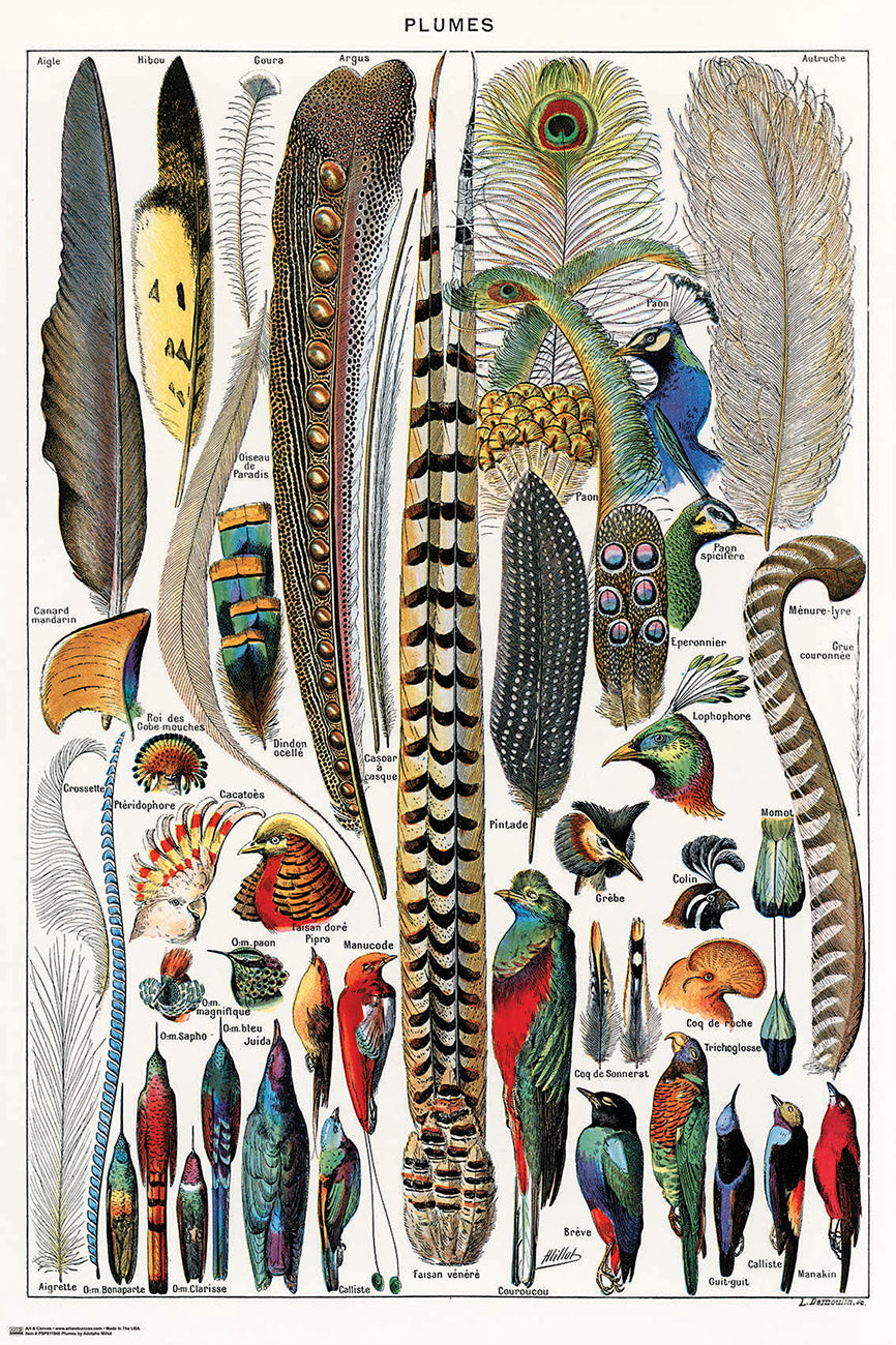 Here should be a File.