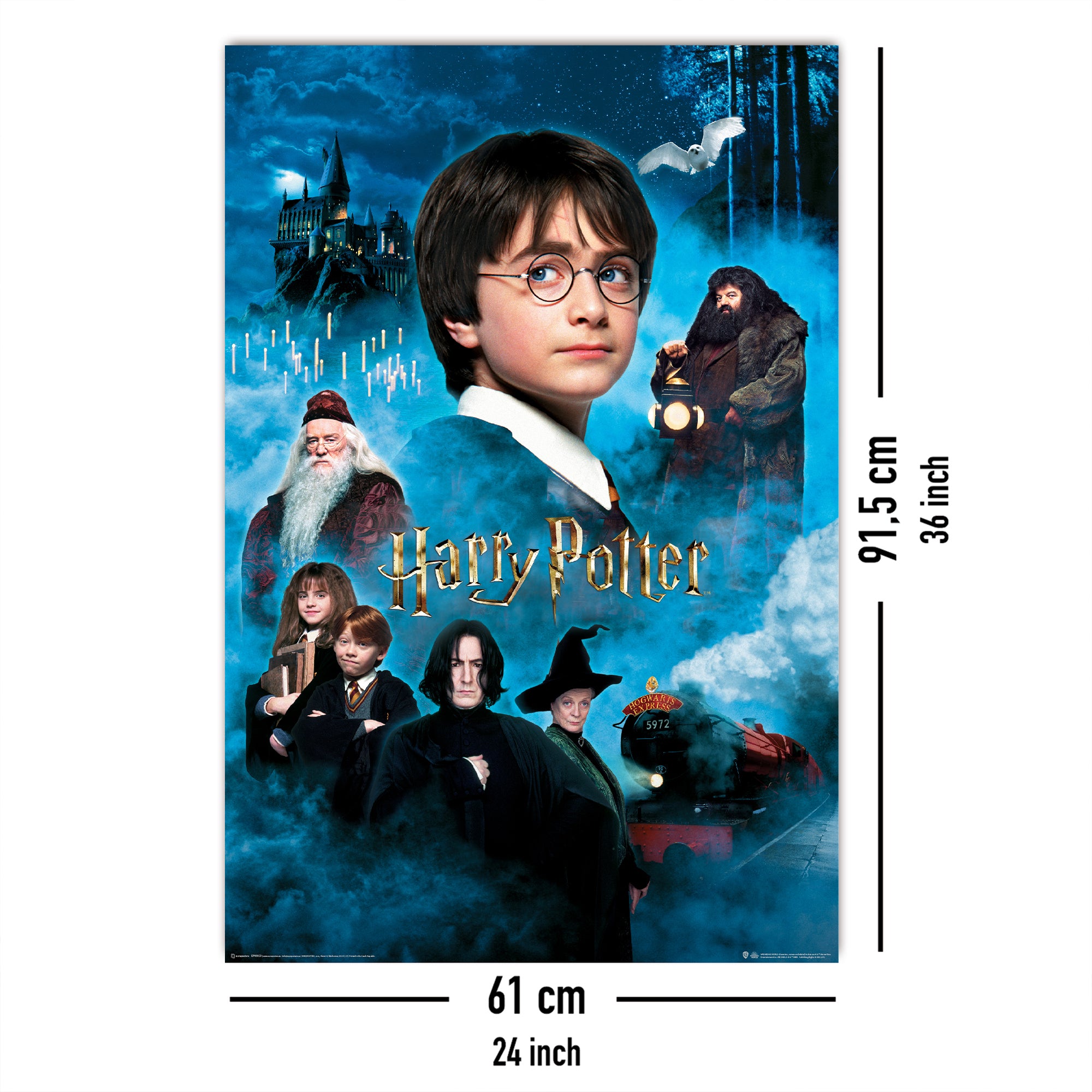 Here should be a File.