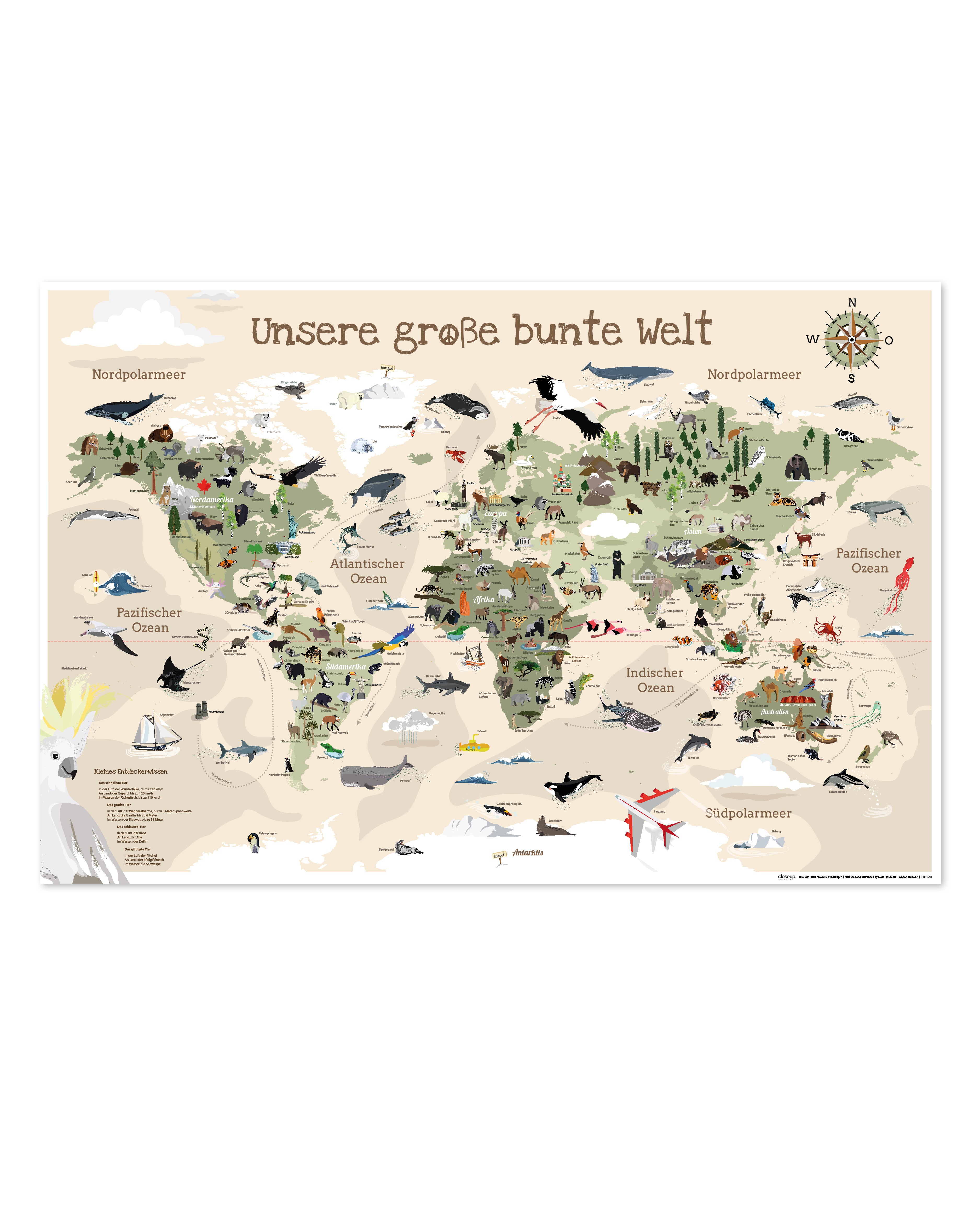 Here should be a File.