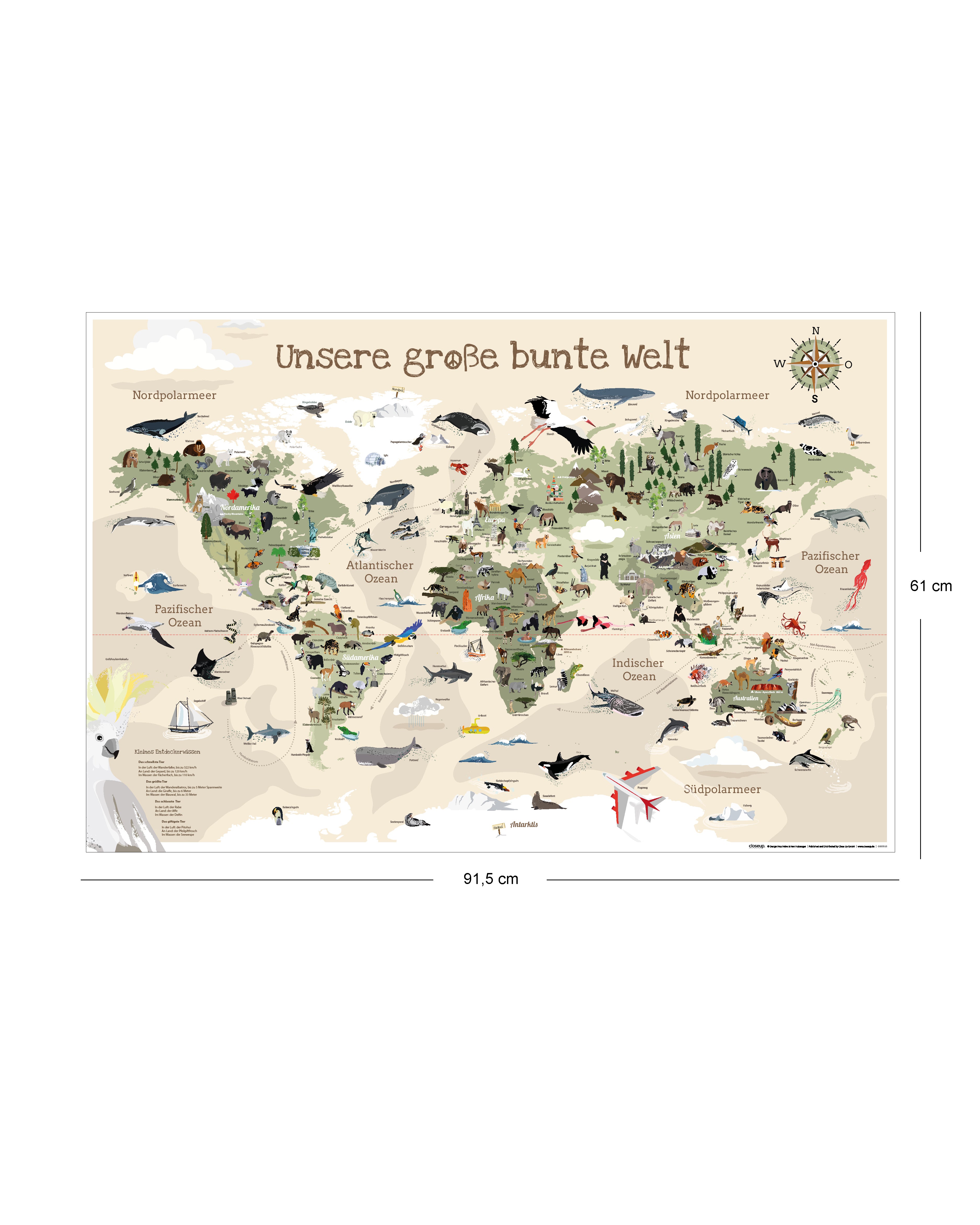 Here should be a File.