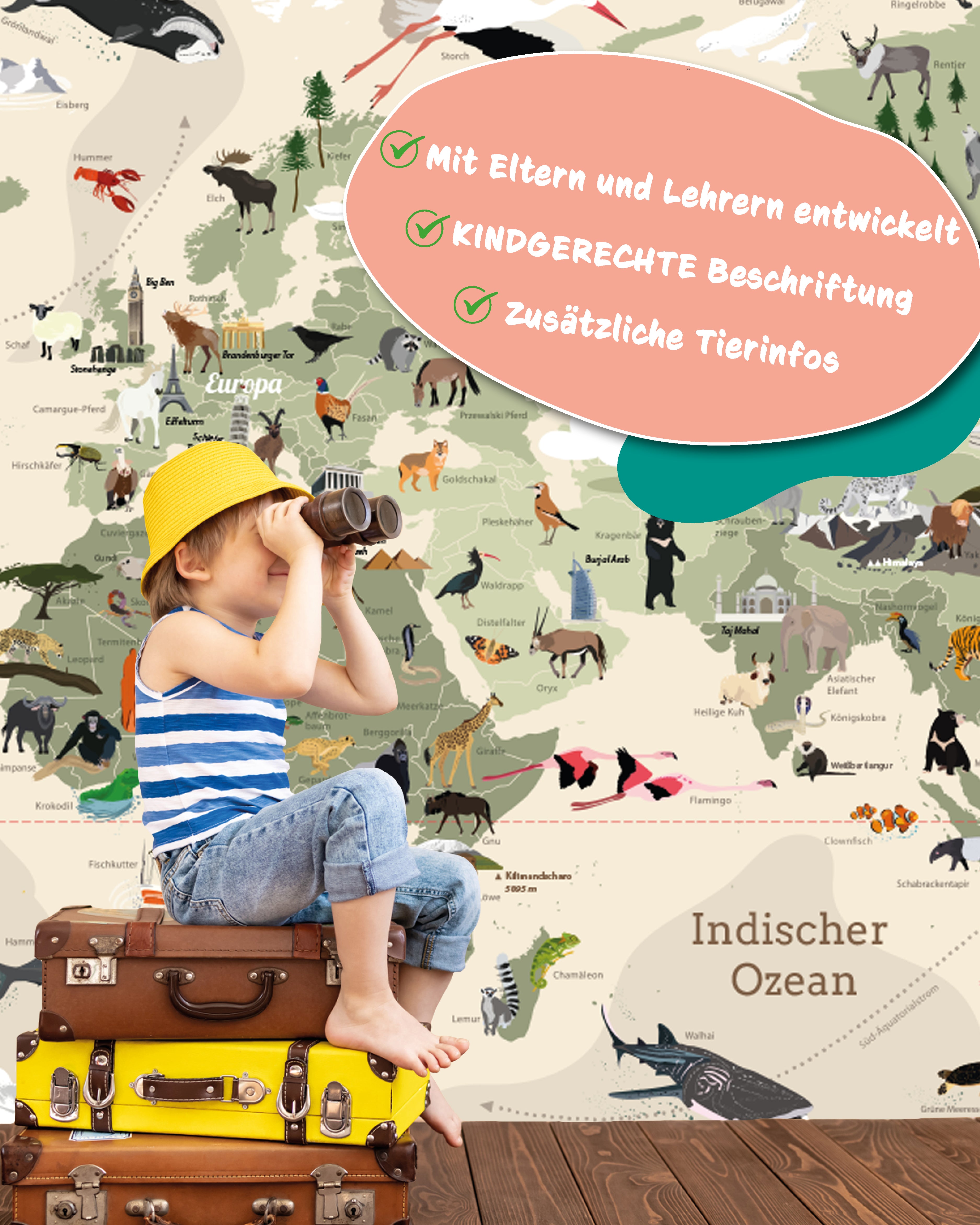 Here should be a File.