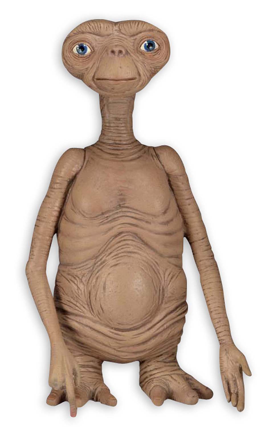 Here should be a File.