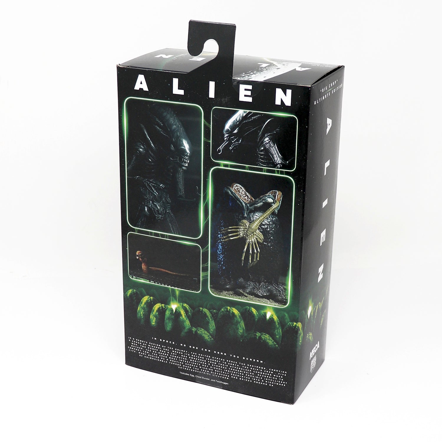 Here should be a File.