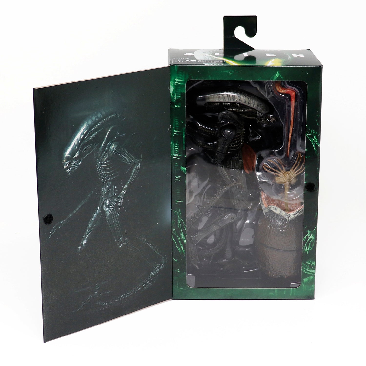 Here should be a File.