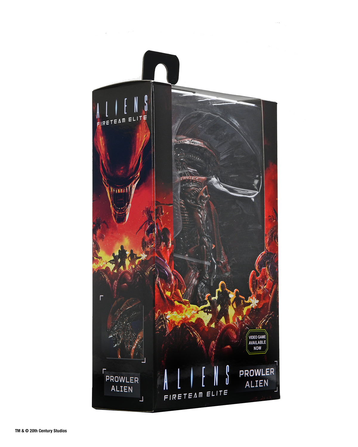 Here should be a File.