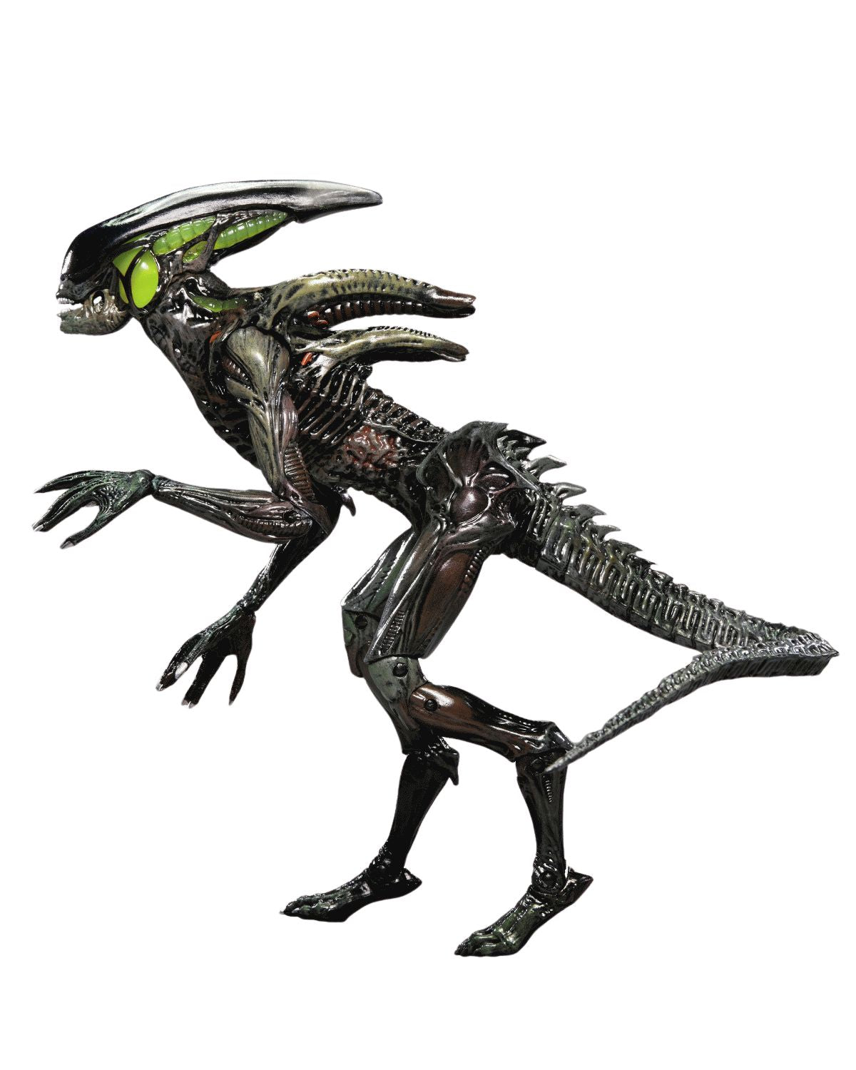 Here should be a File.