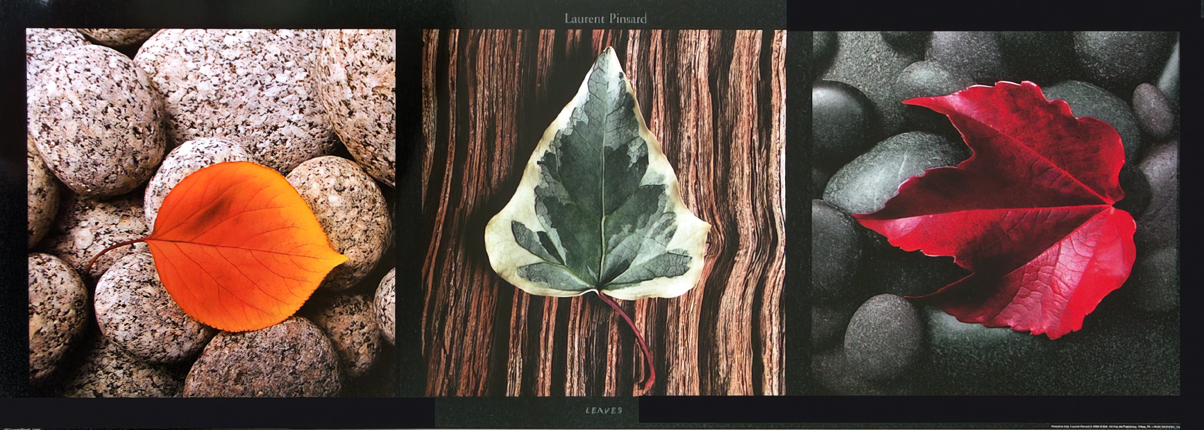 Here should be a File.