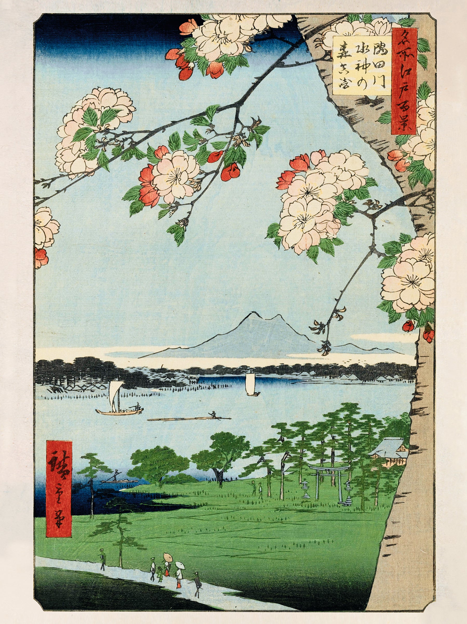 Here should be a File.