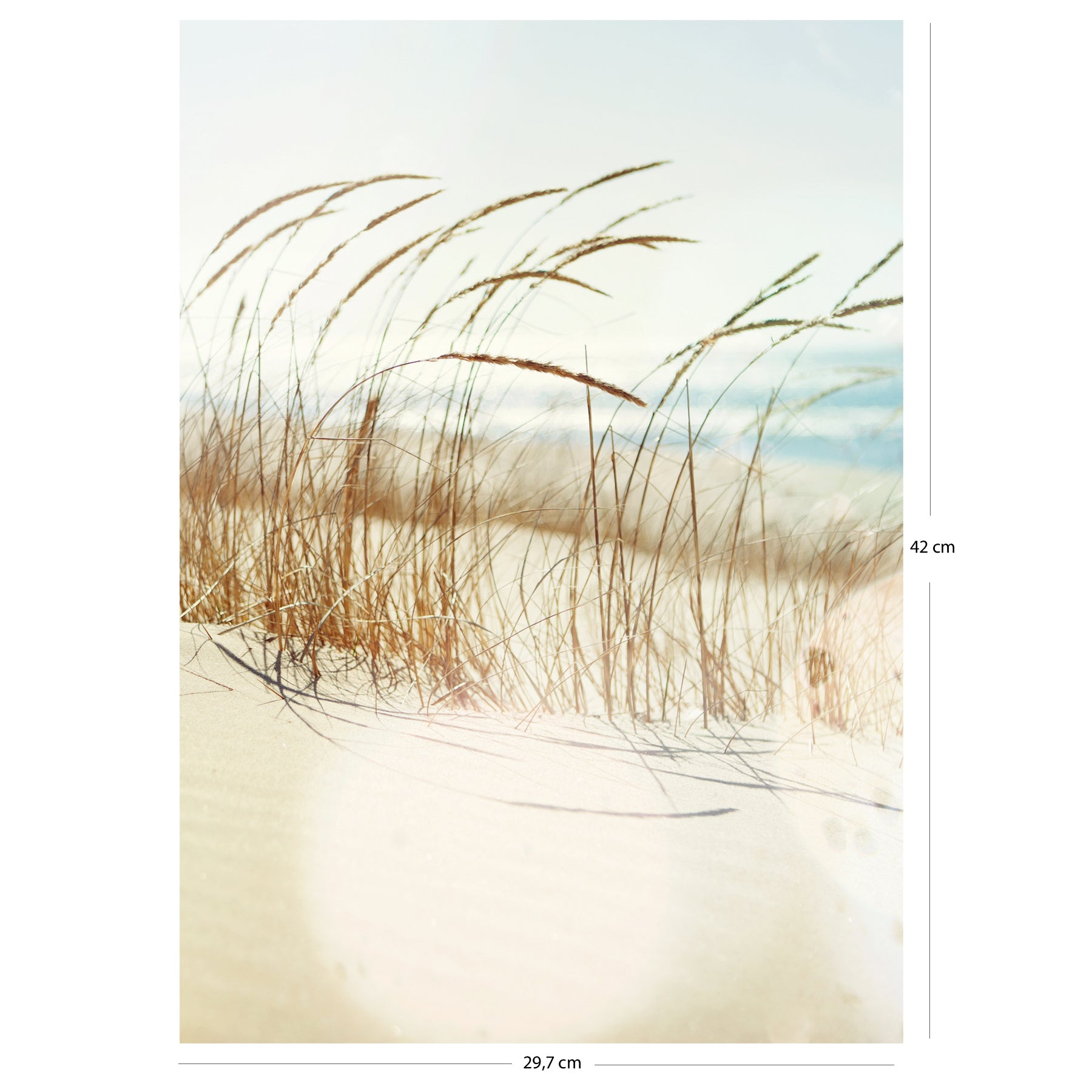 Here should be a File.