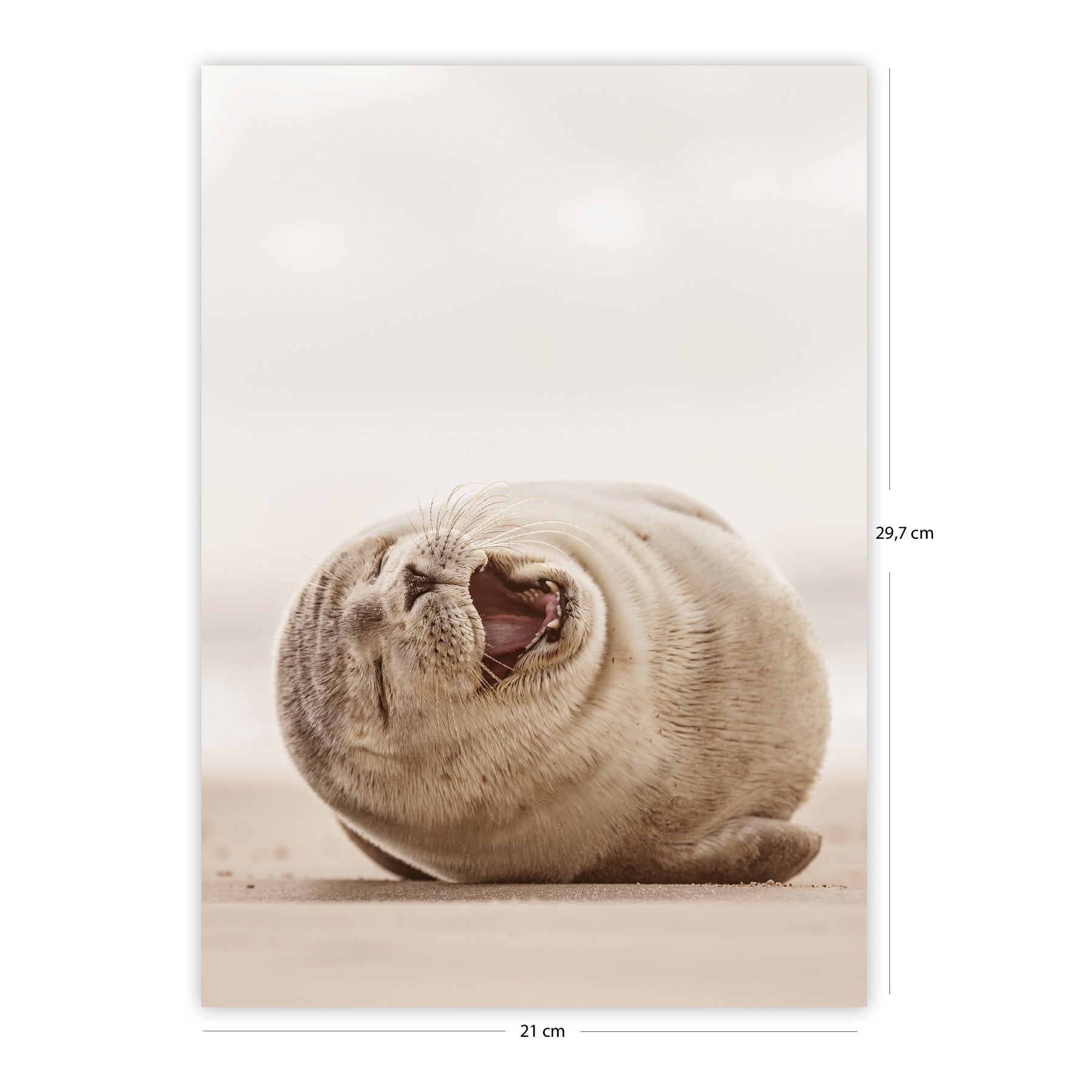 Here should be a File.