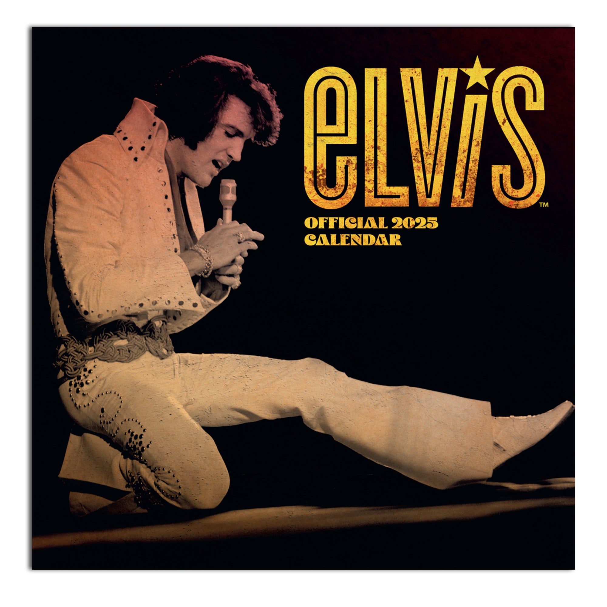 Here should be a File.