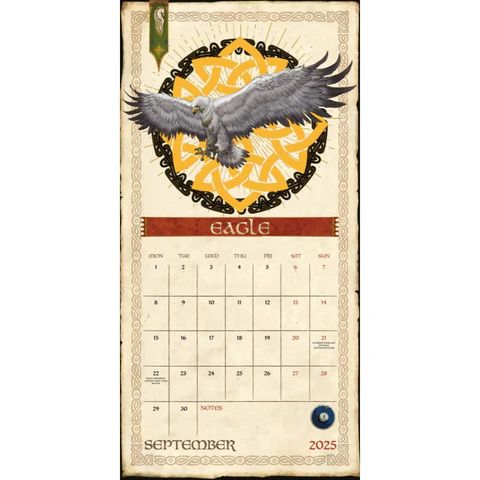 Here should be a File.