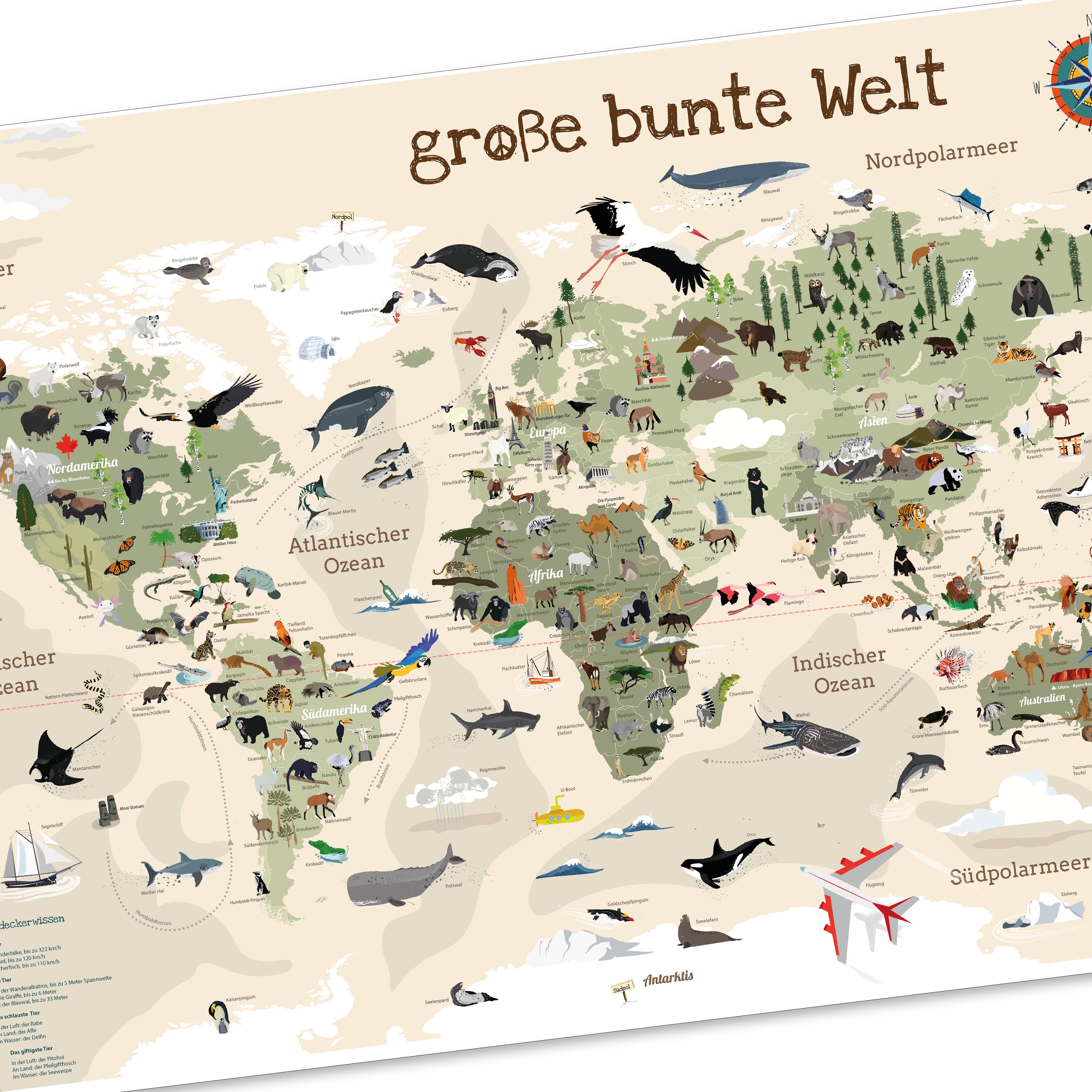 Kinder Weltkarte Beige personalisiert - 60 x 40cm