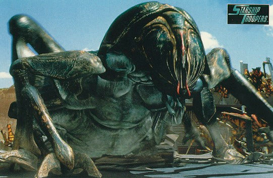 Here should be a File.