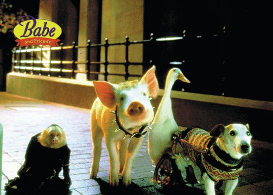 Here should be a File.