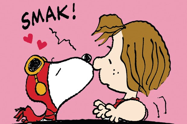 Here should be a File.