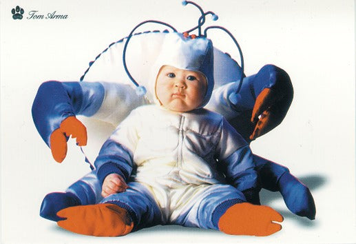 Here should be a File.