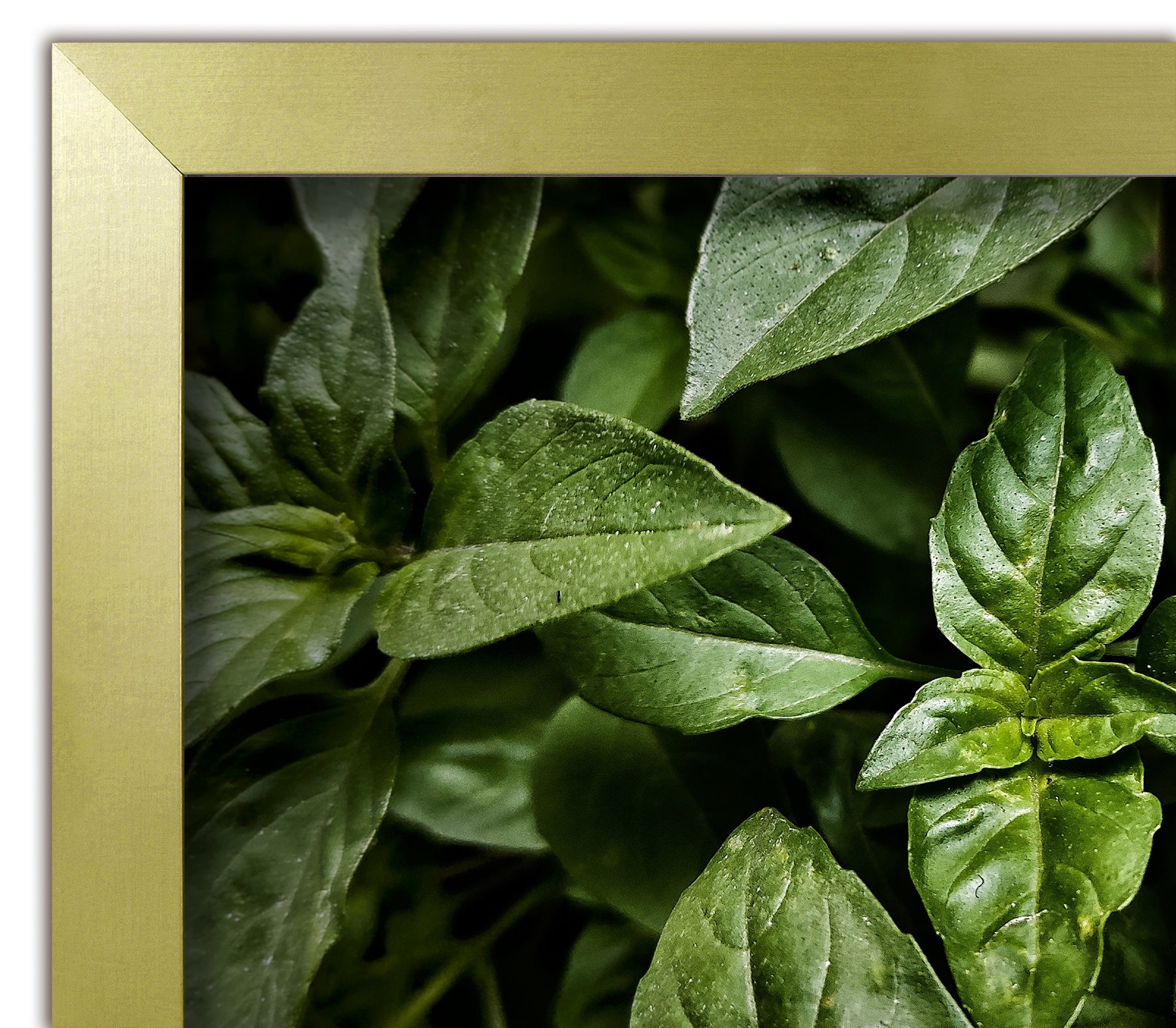 Here should be a File.