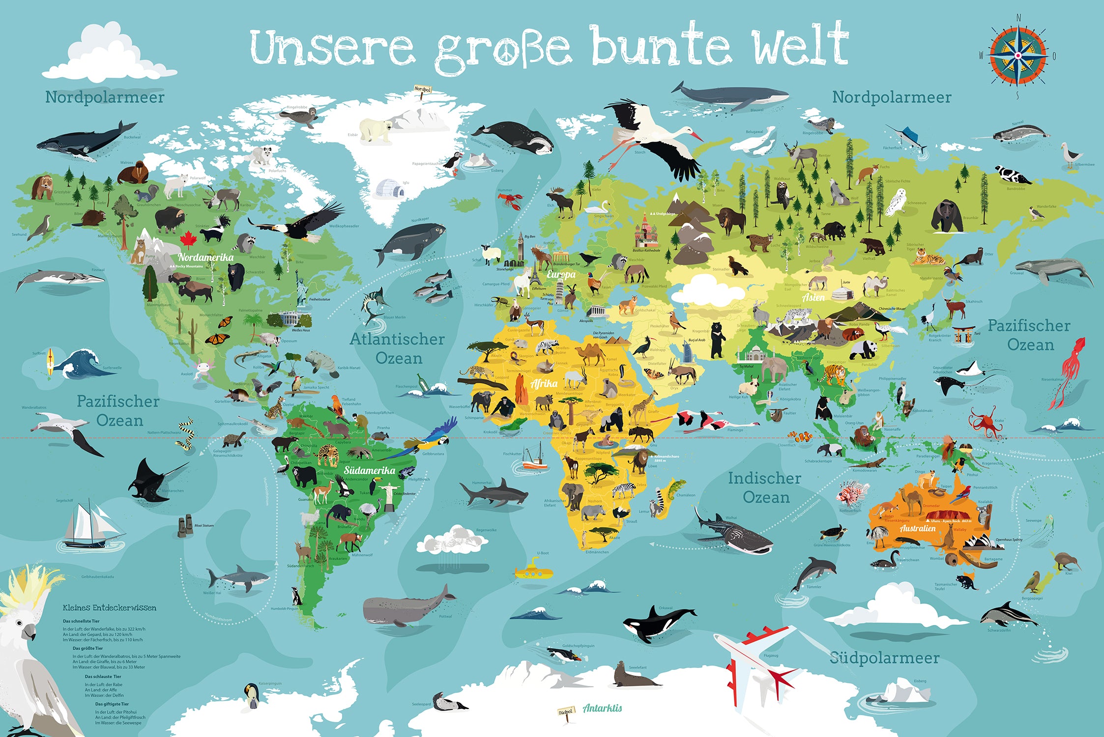 Here should be a File.