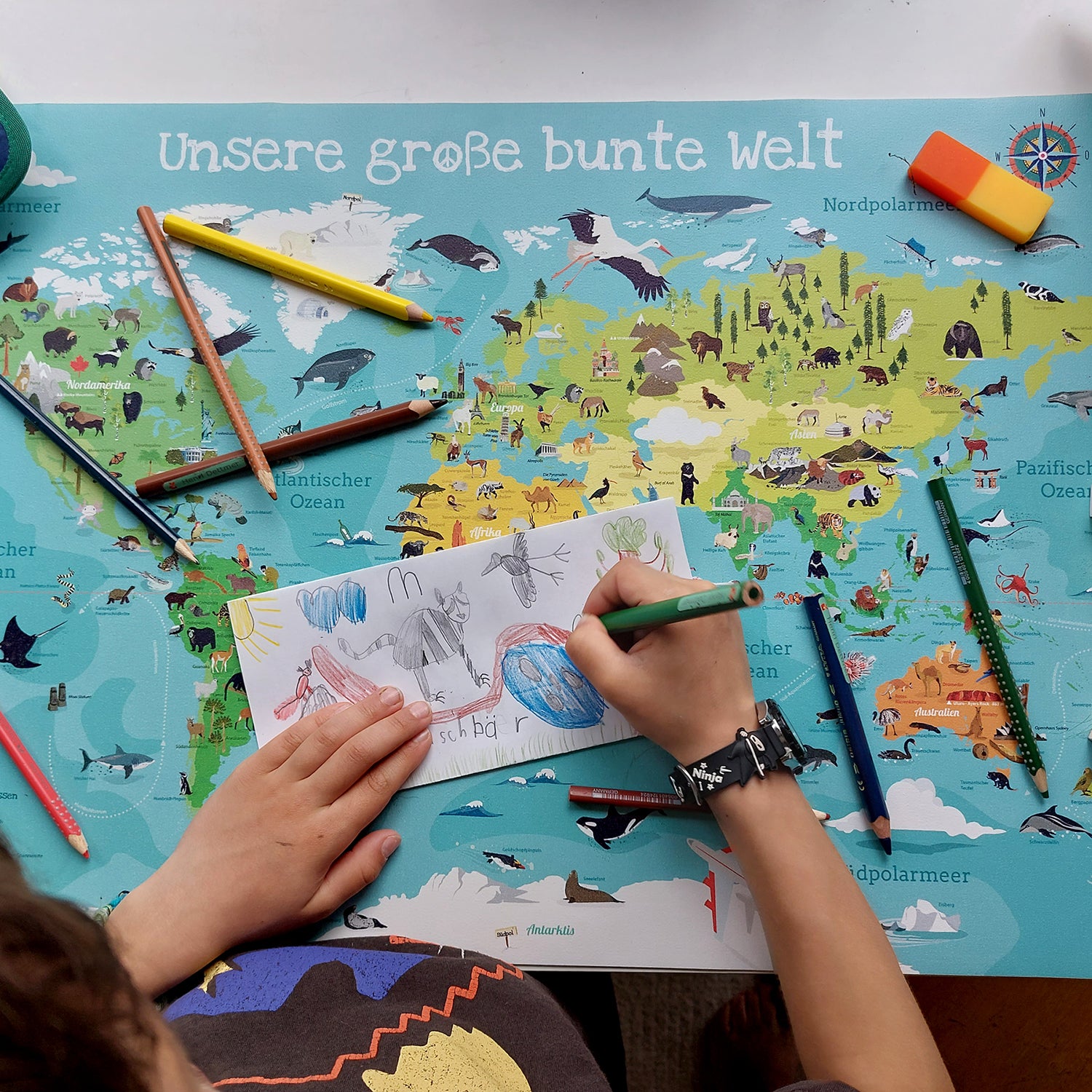 Here should be a File.