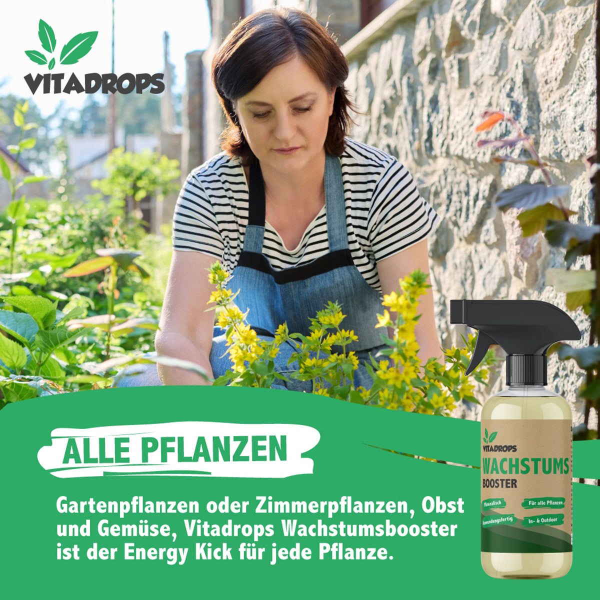 Here should be a File.