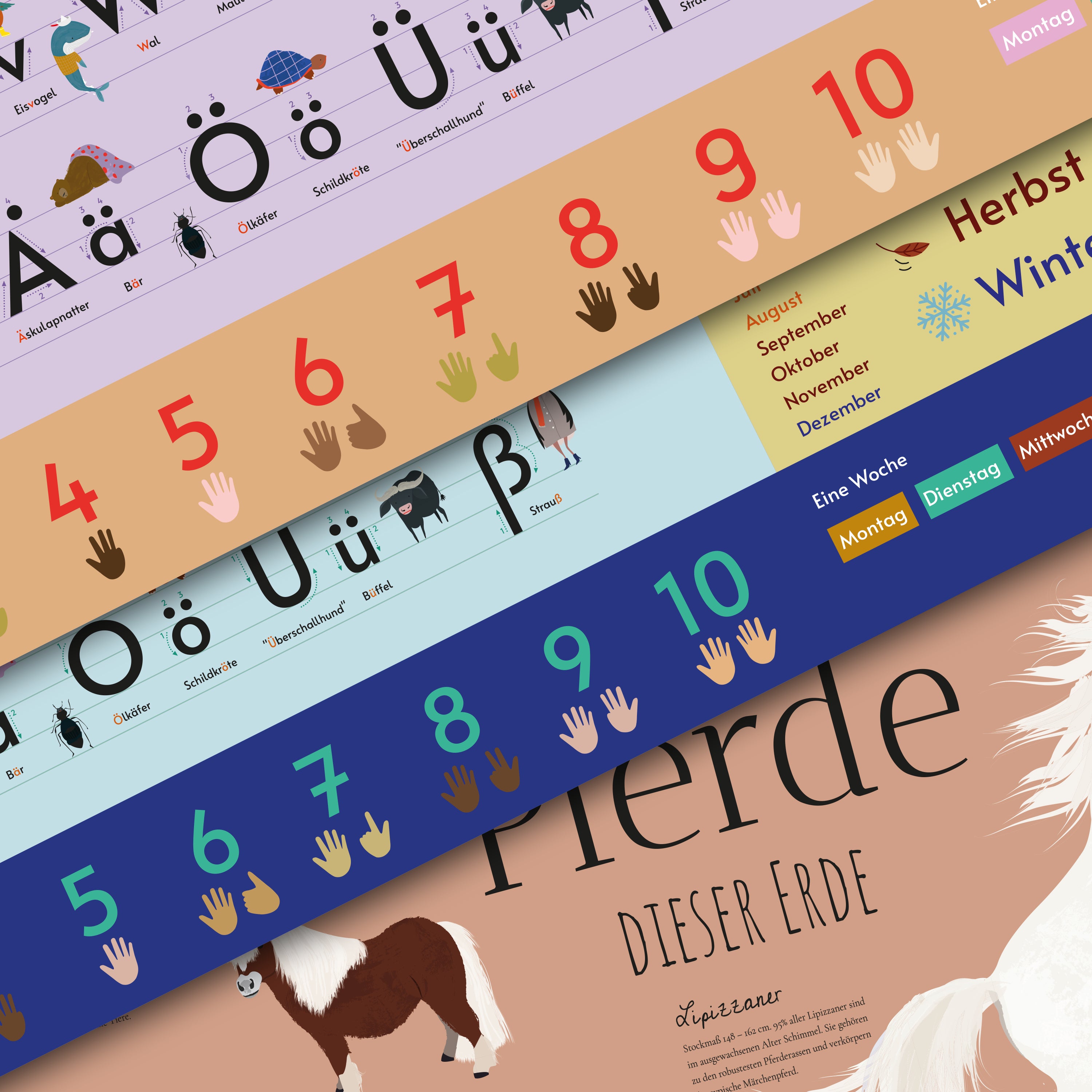 Here should be a File.