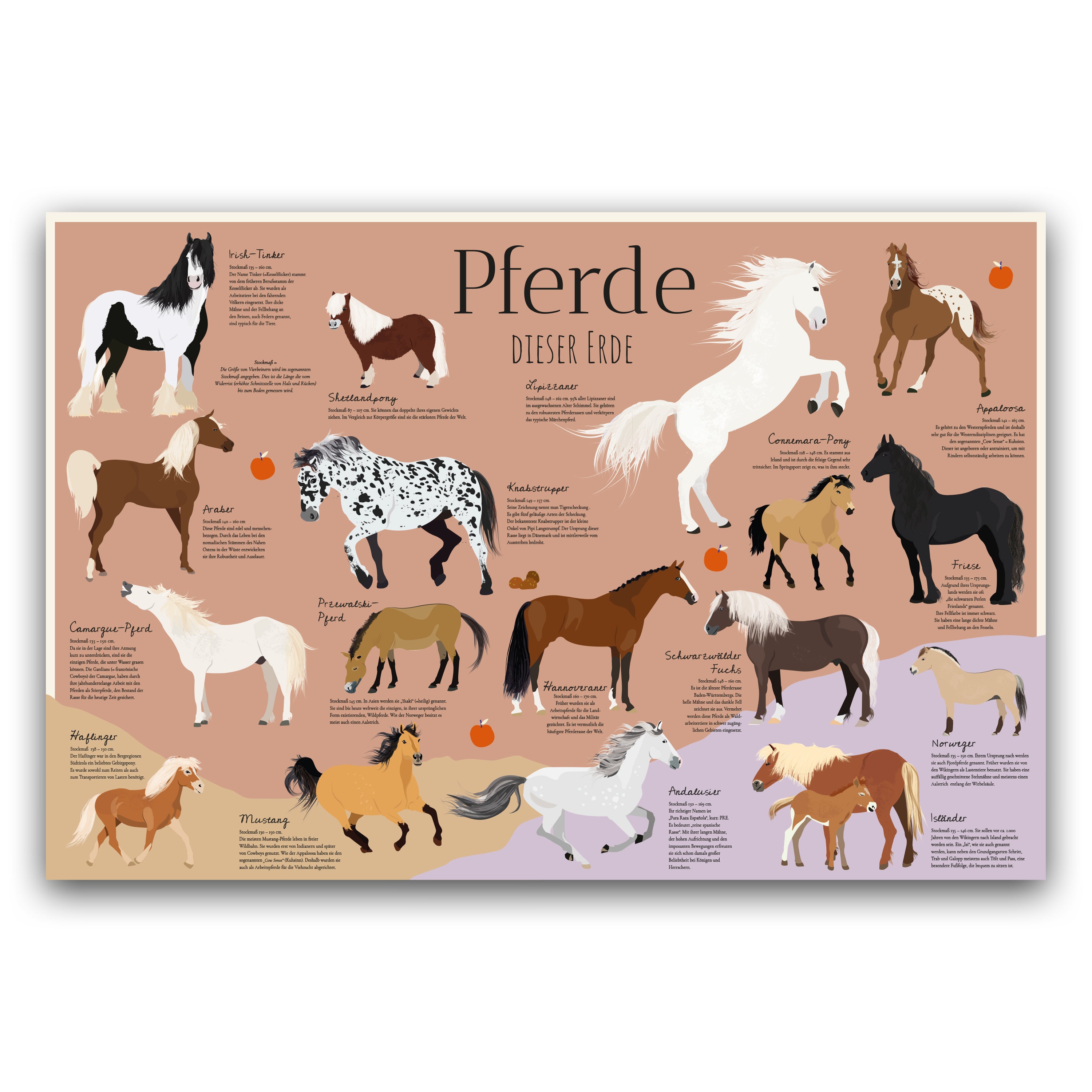 Here should be a File.