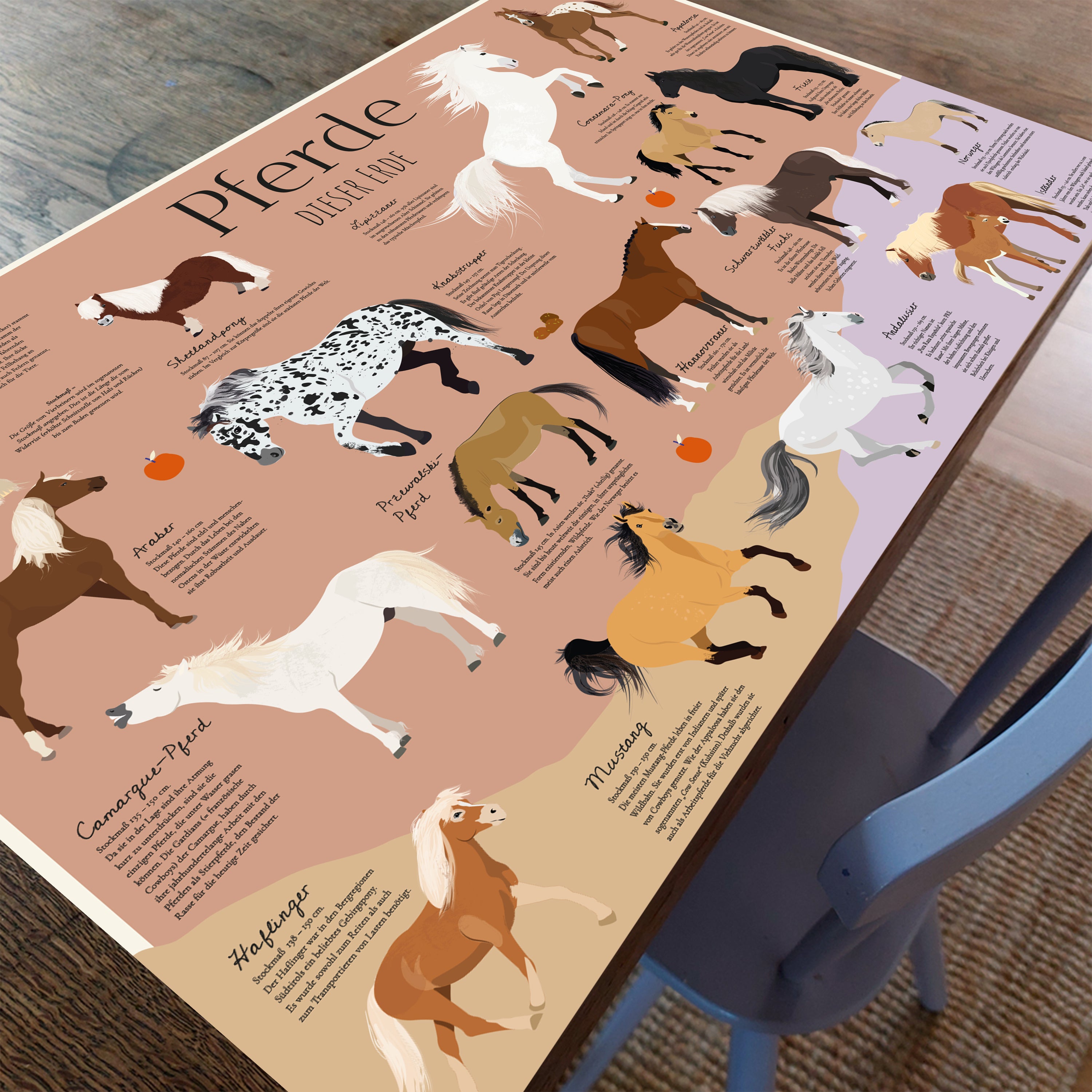 Here should be a File.