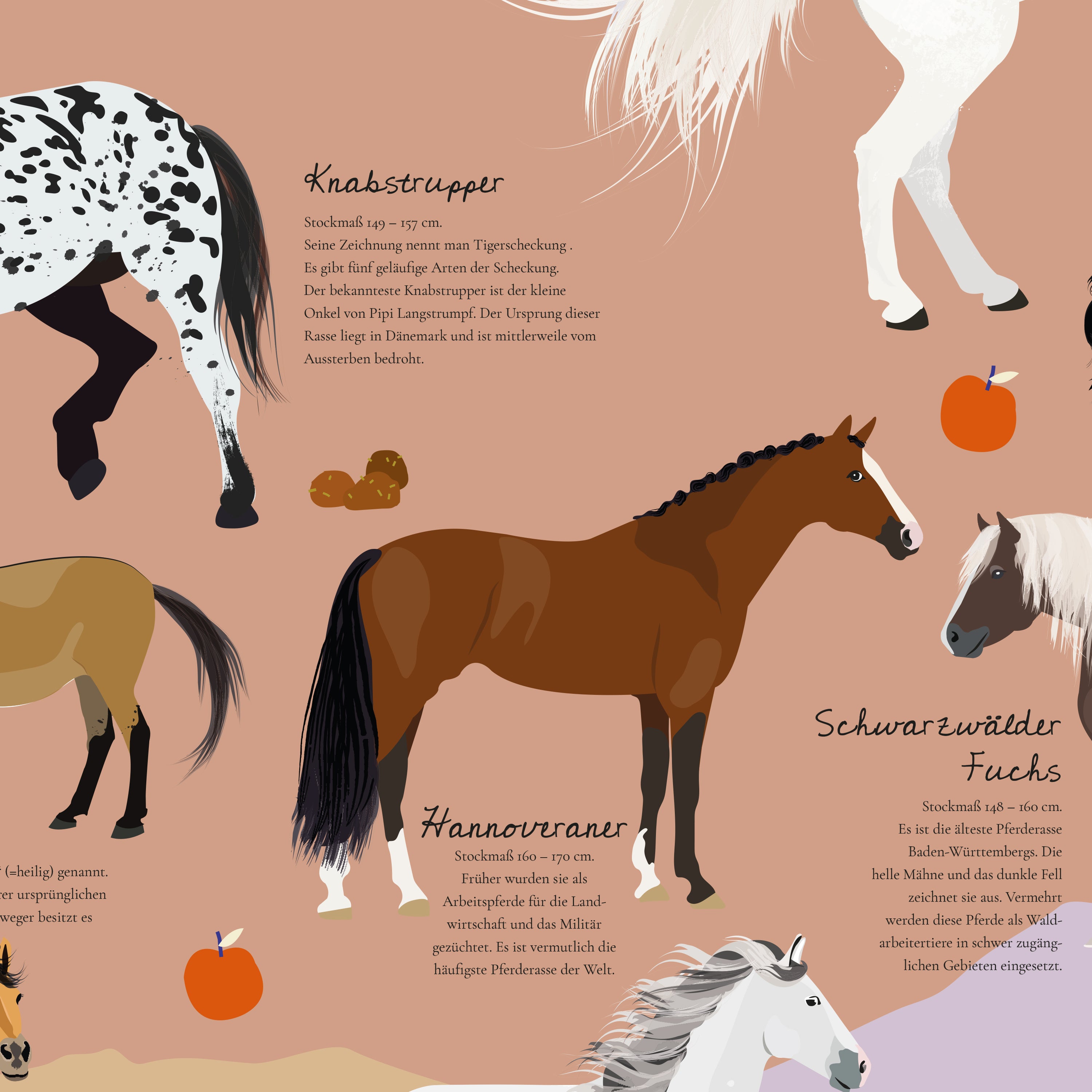 Here should be a File.