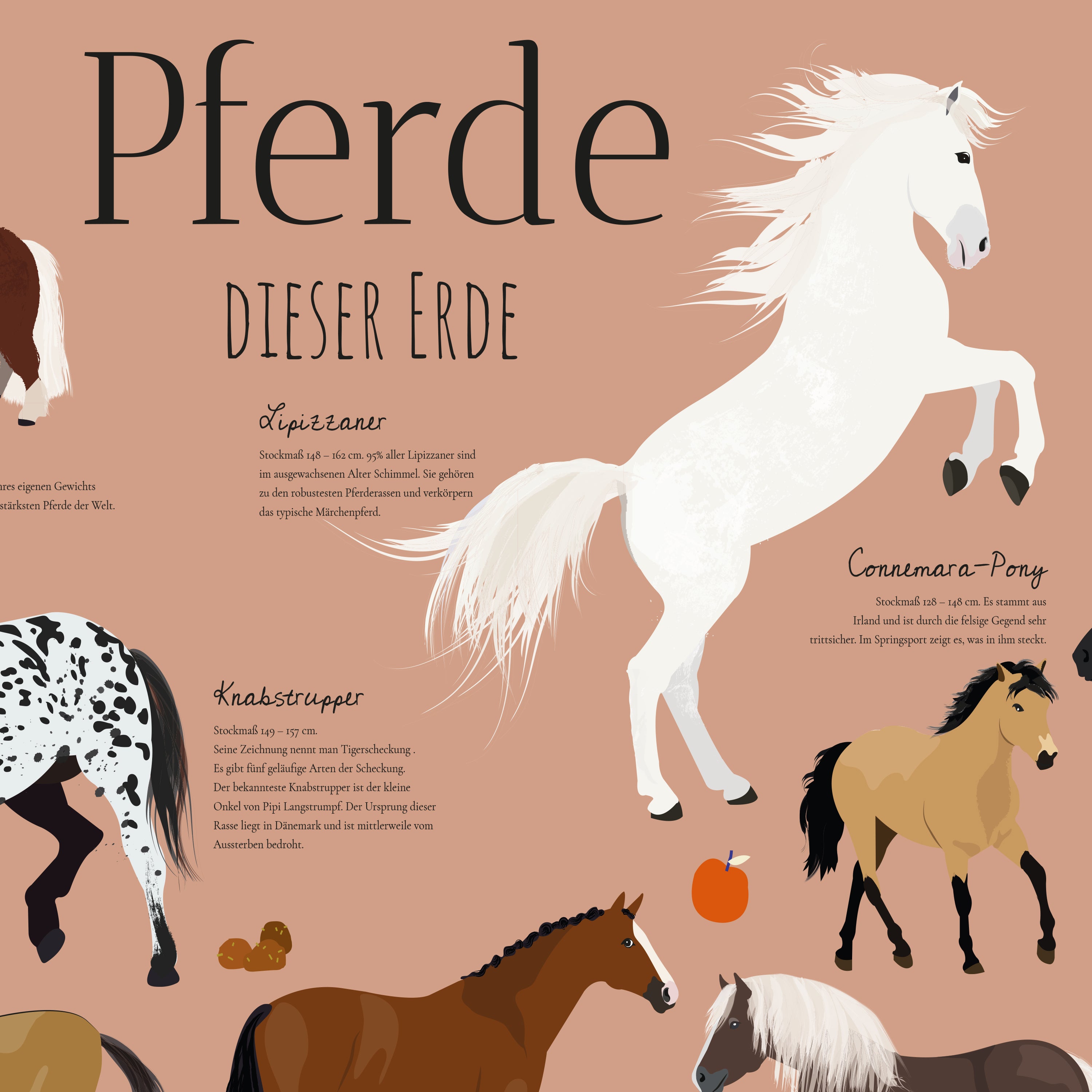 Here should be a File.