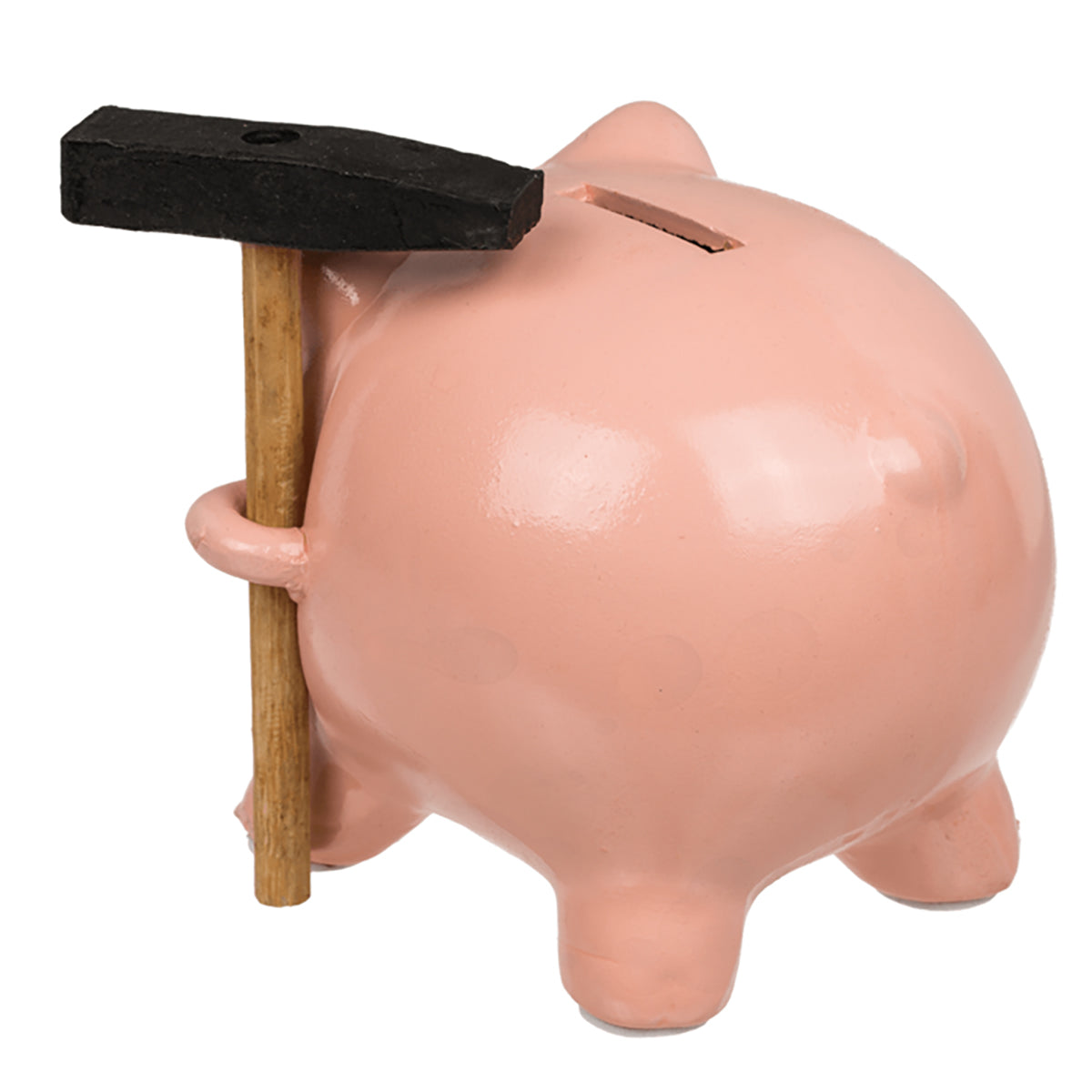 Here should be a File.