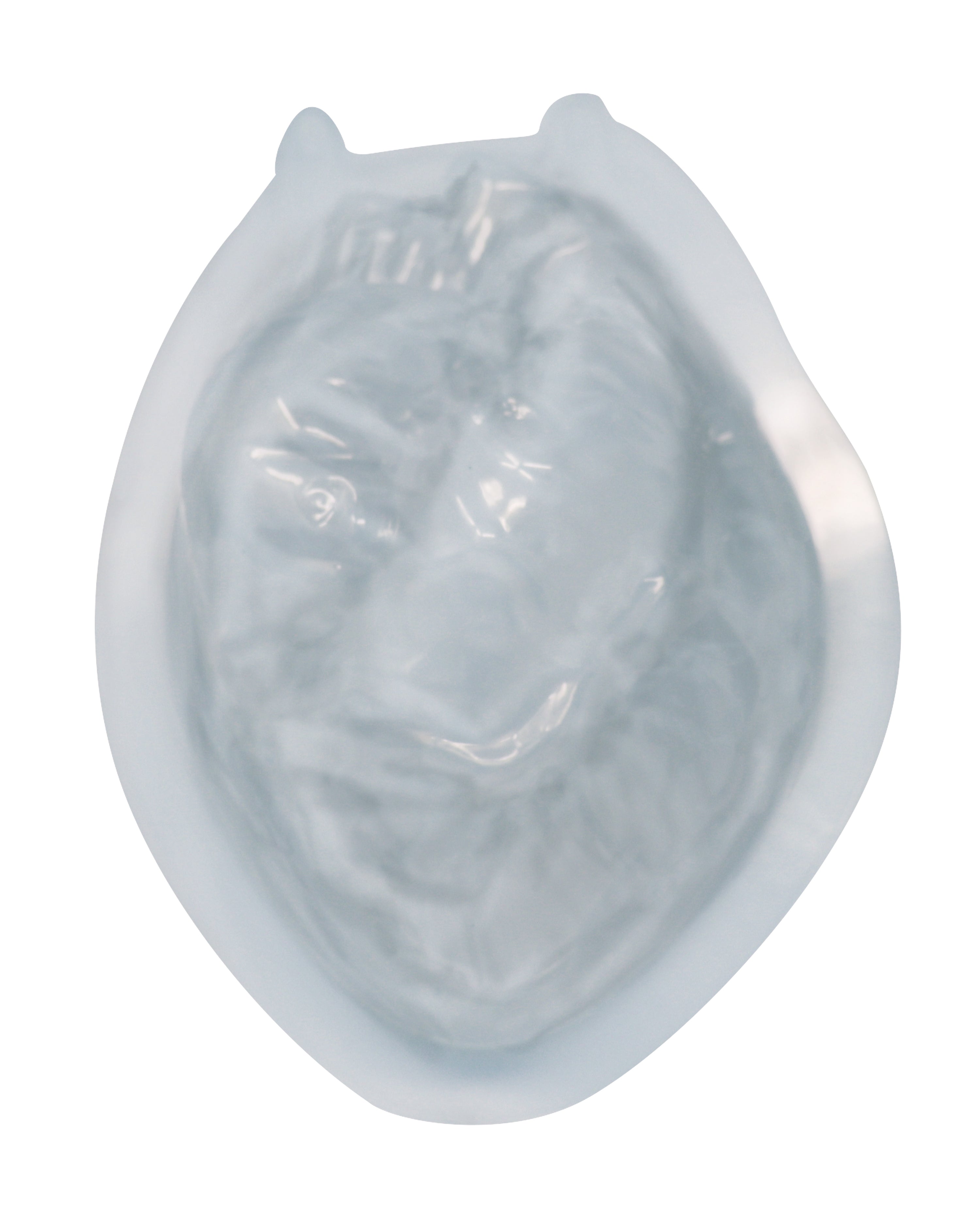 Here should be a File.