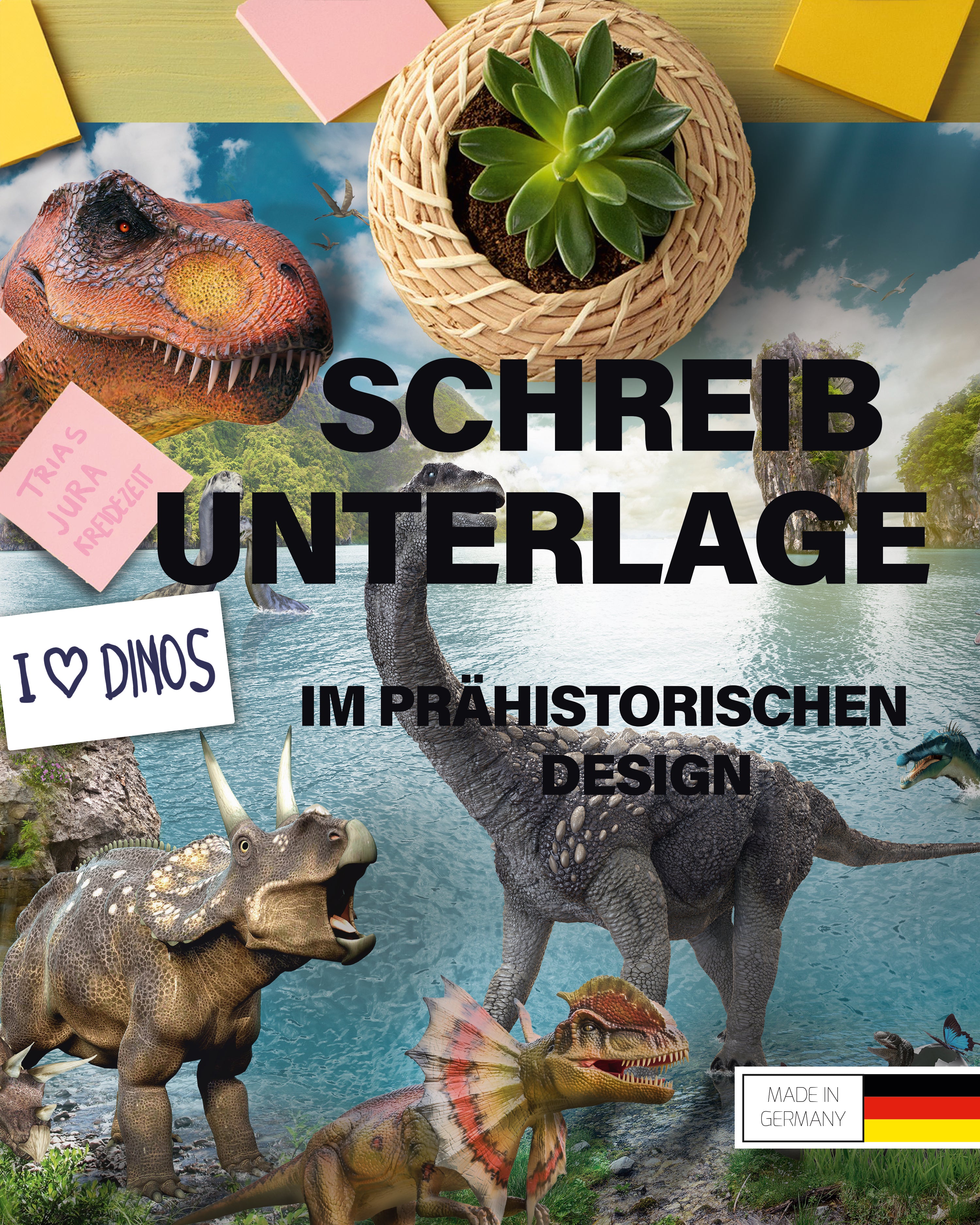 Here should be a File.