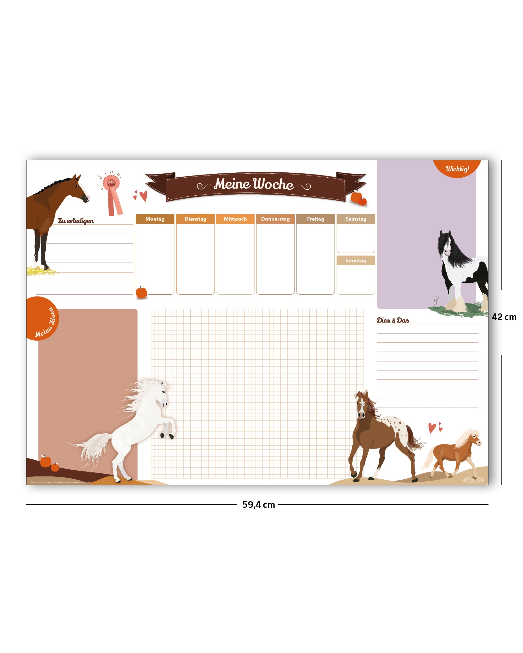 Here should be a File.