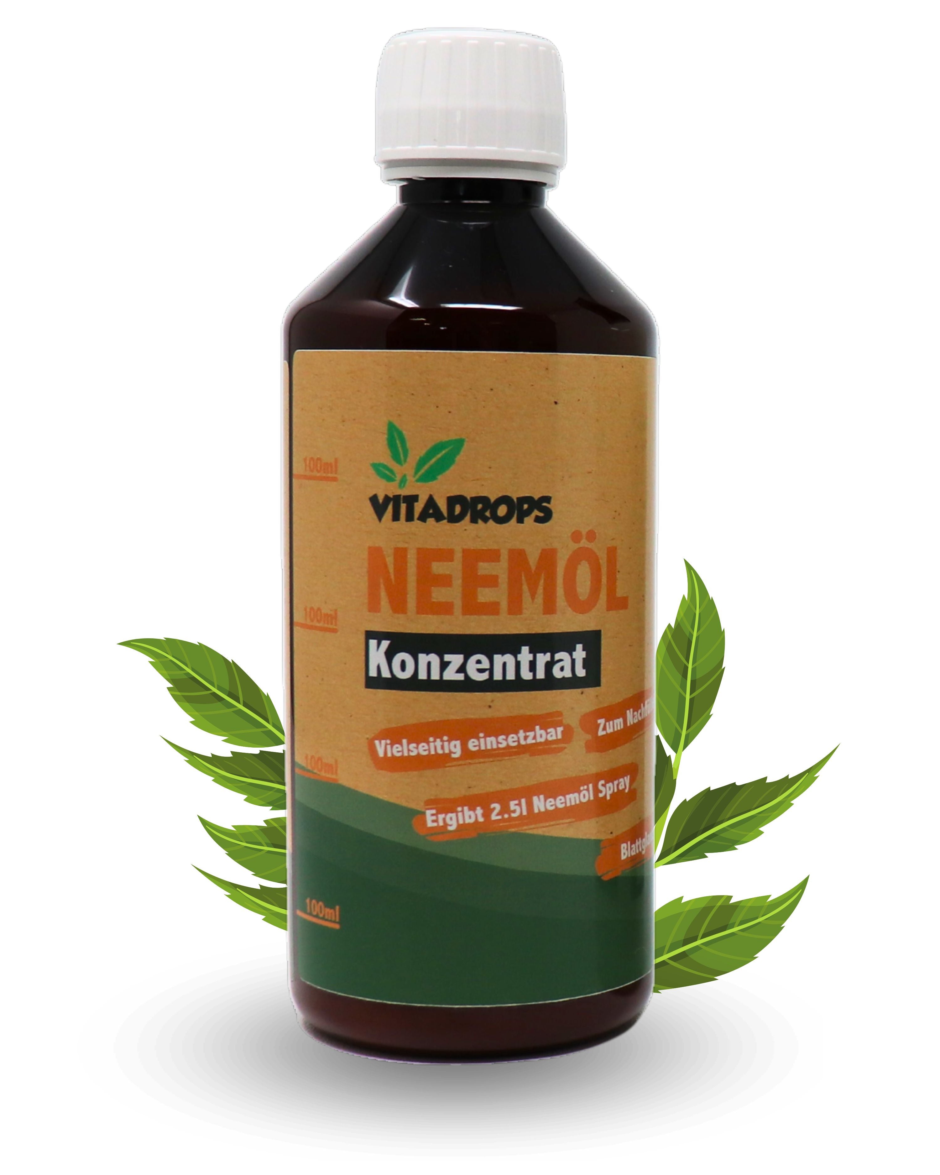 Here should be a File.