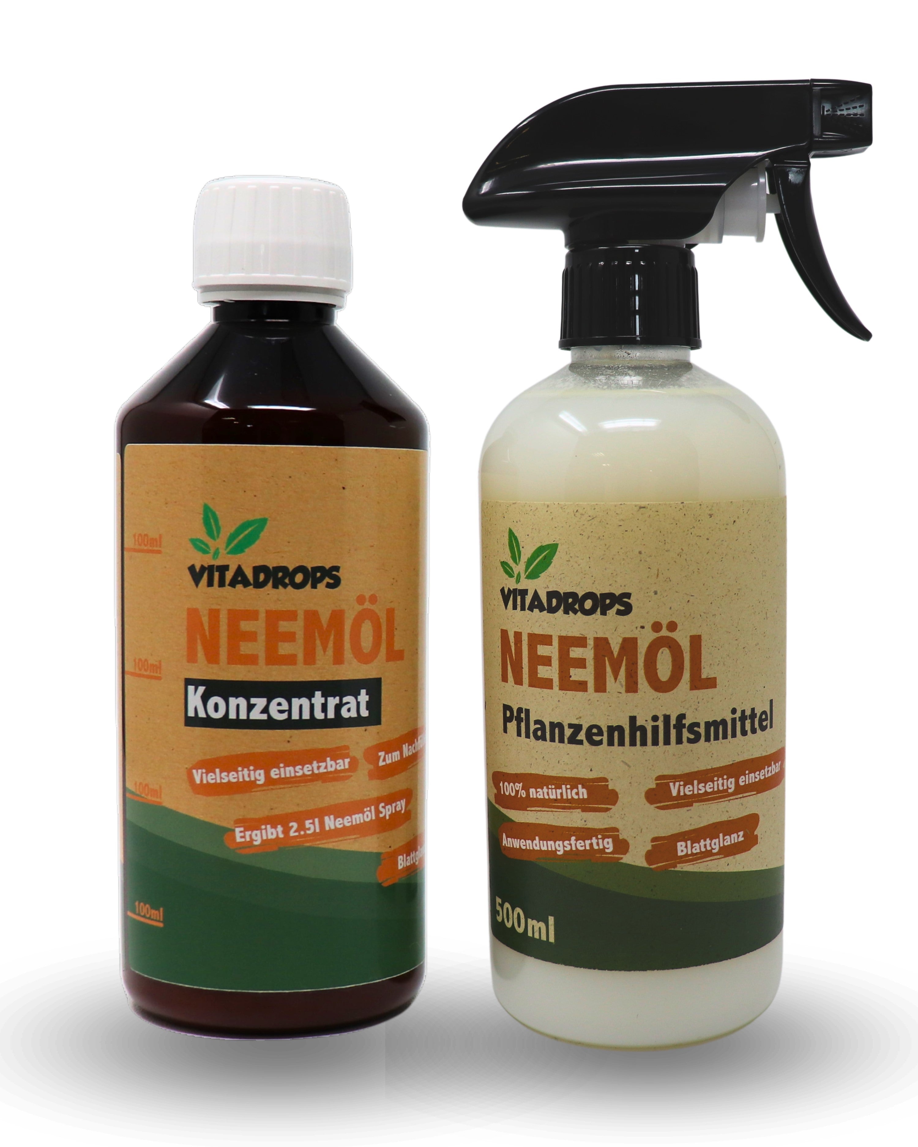 Here should be a File.