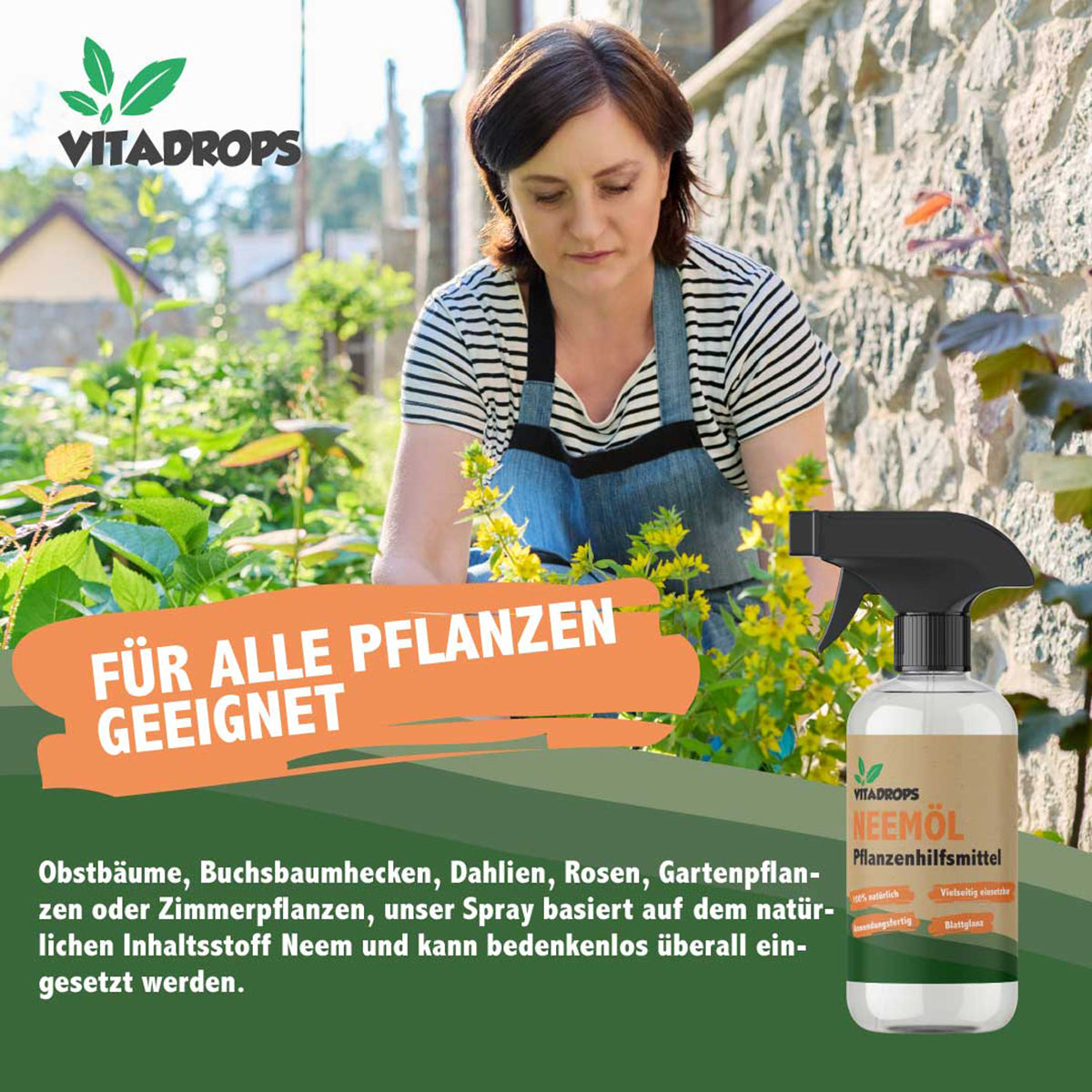 Here should be a File.