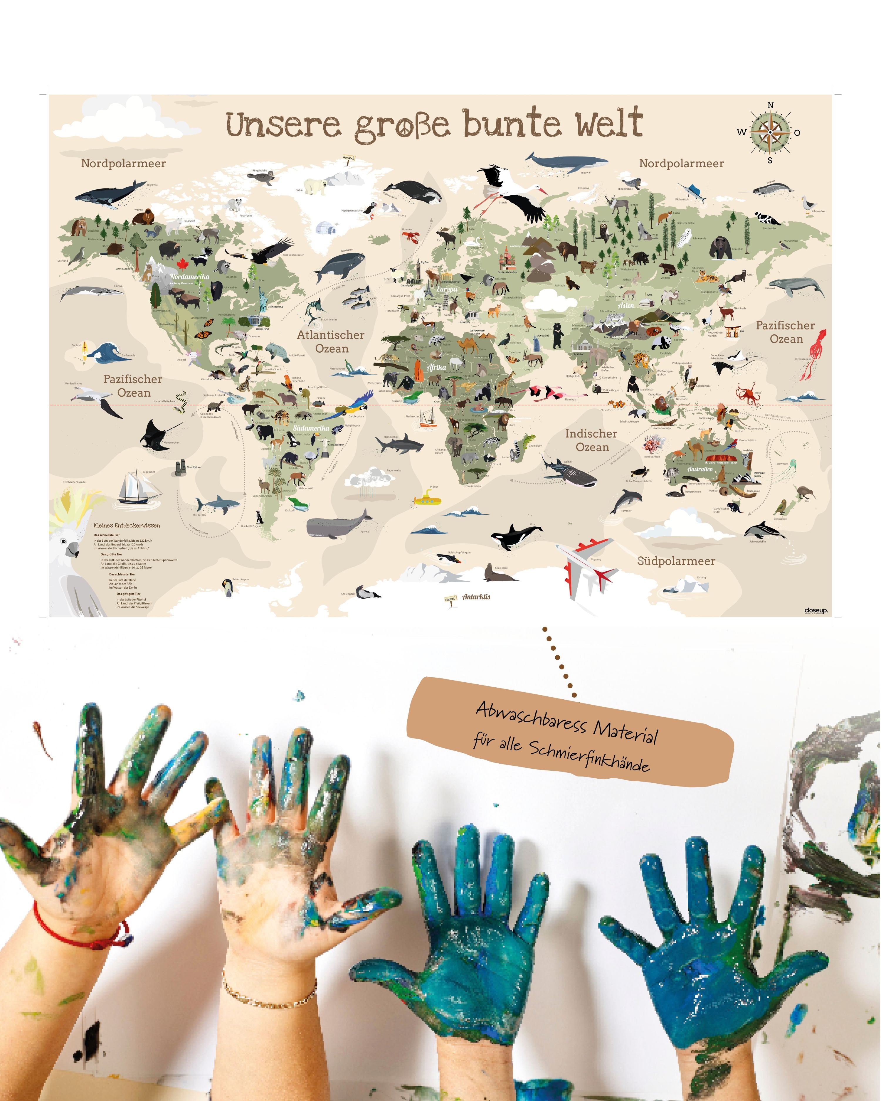 Here should be a File.