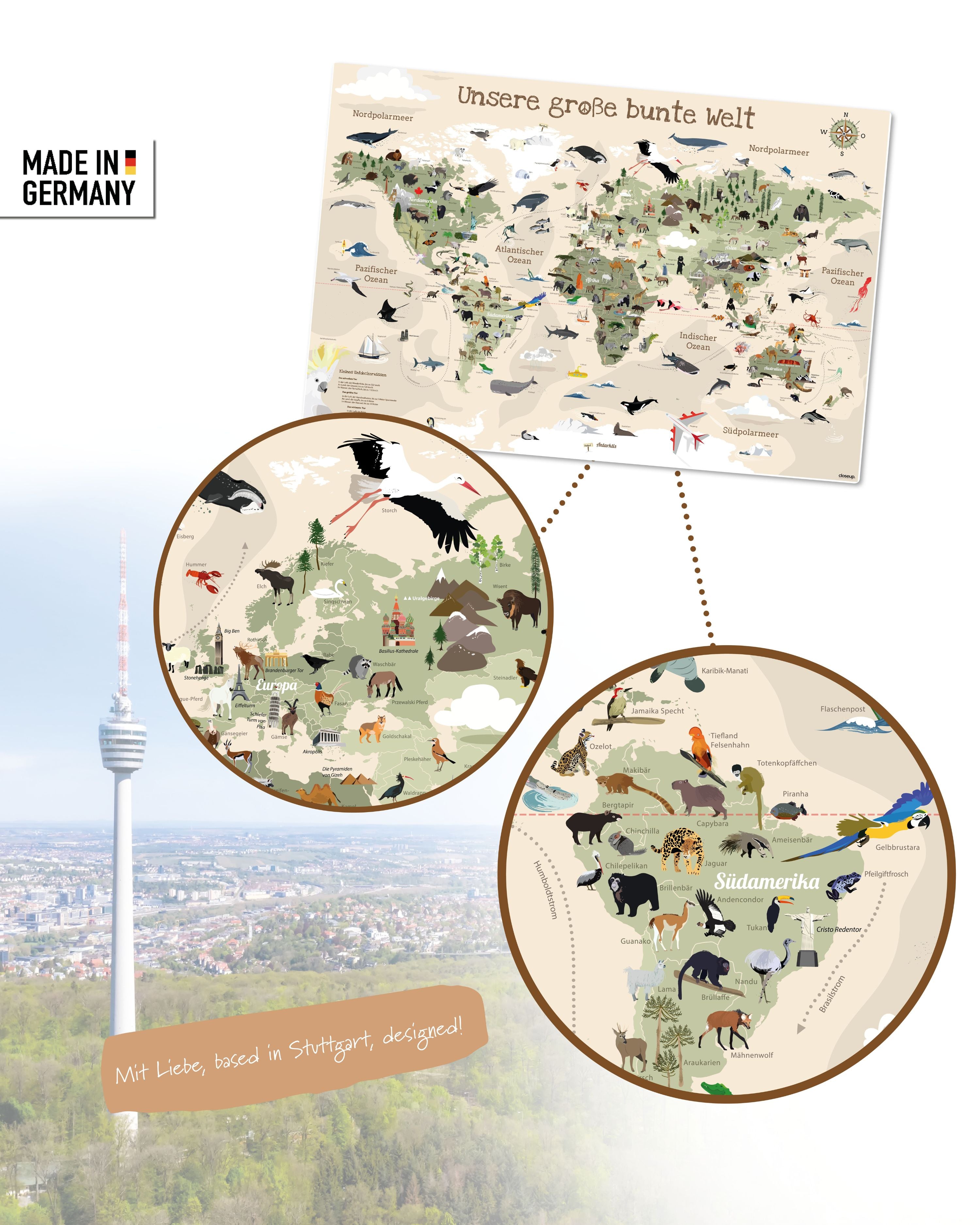 Here should be a File.